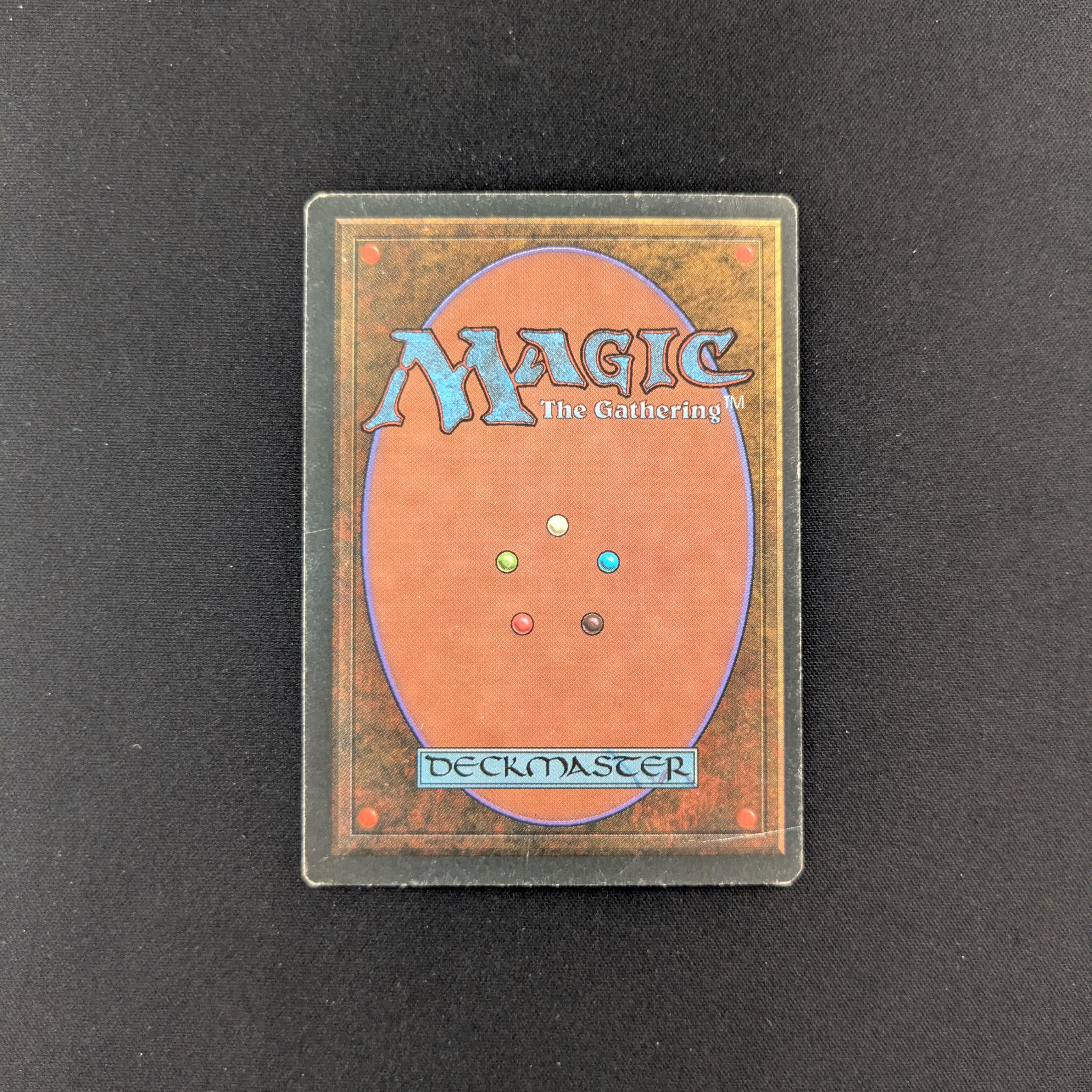 MTG Singles - Tundra - Foreign Black Bordered - 
