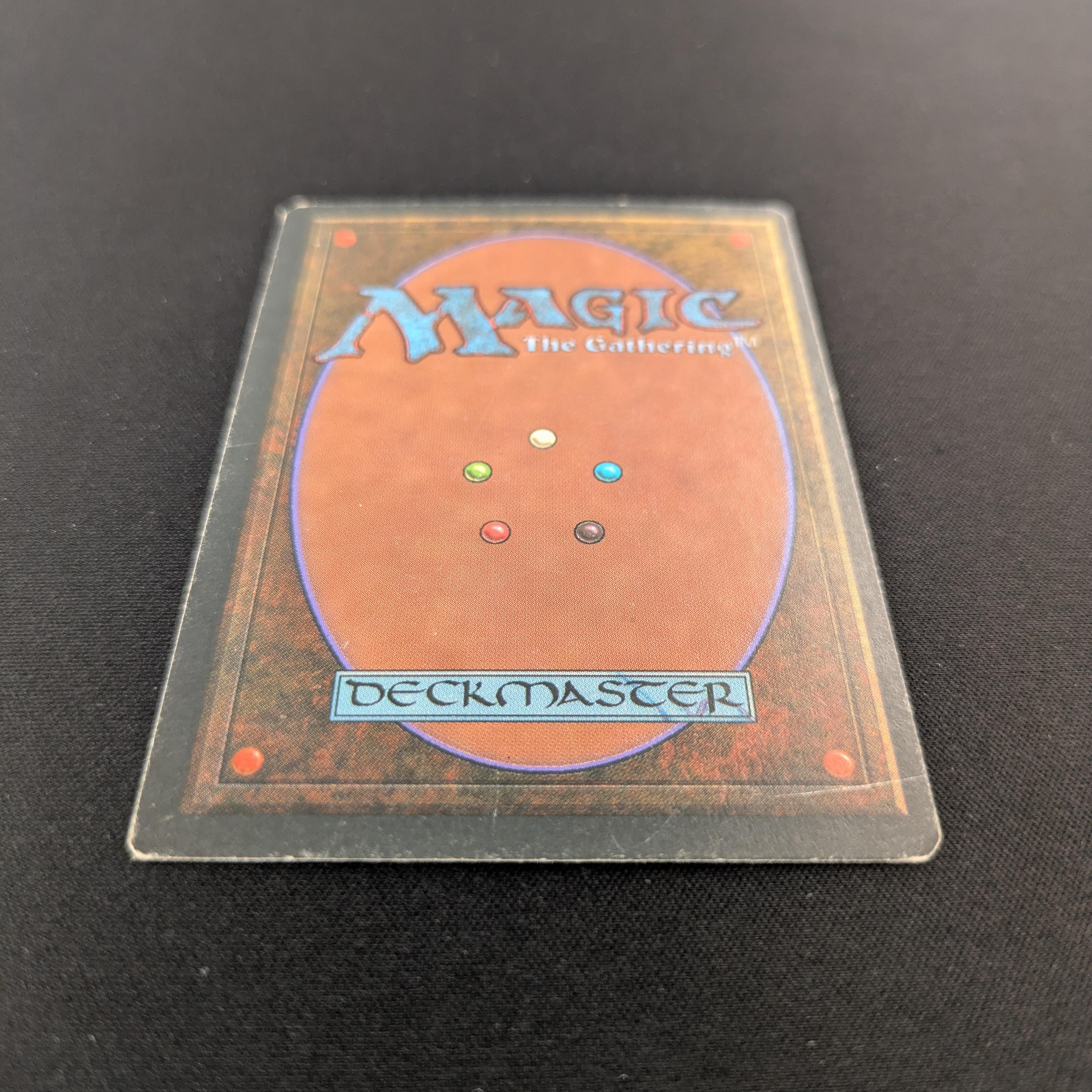 MTG Singles - Tundra - Foreign Black Bordered - 
