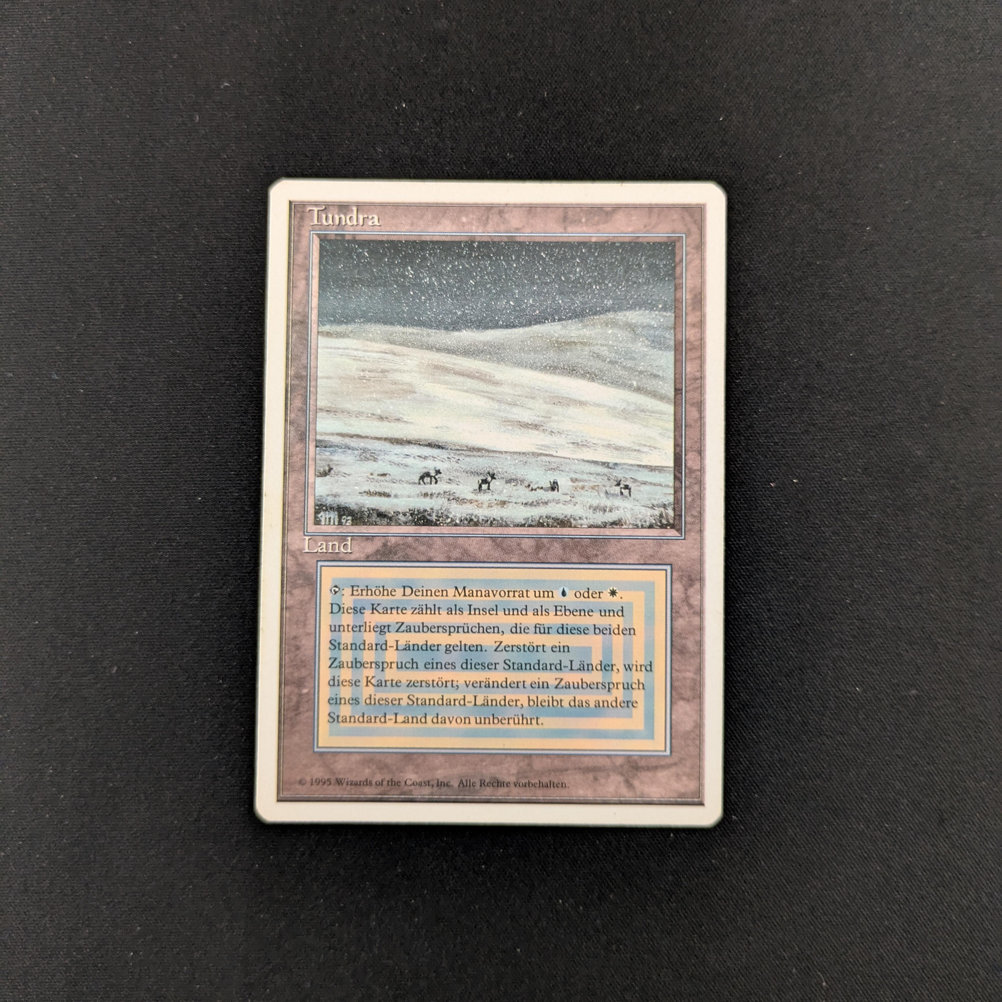 MTG Singles - Tundra - Foreign White Bordered - German - LP - 25562