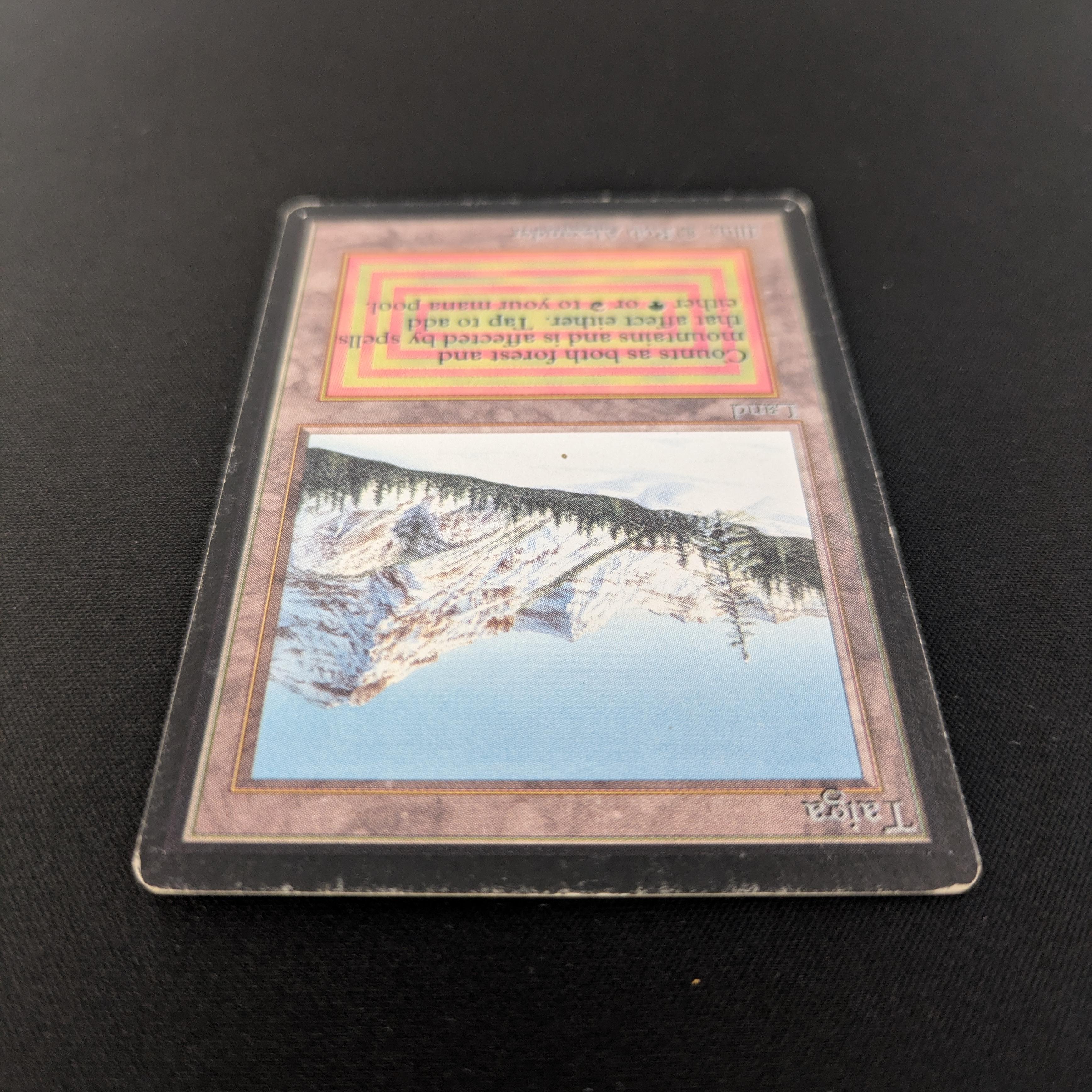 MTG Singles - Taiga - Beta - 