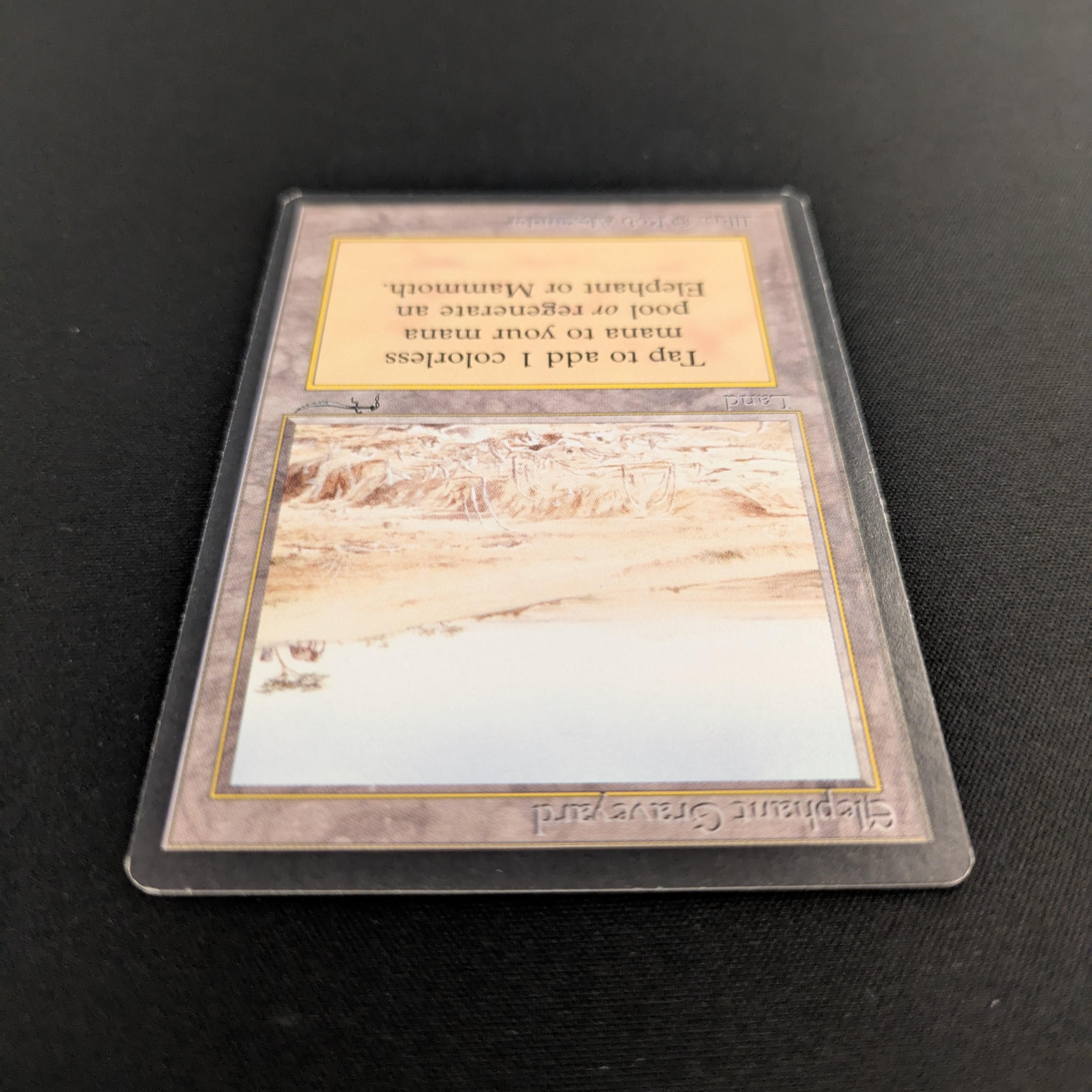 MTG Singles - Elephant Graveyard - Arabian Nights - 