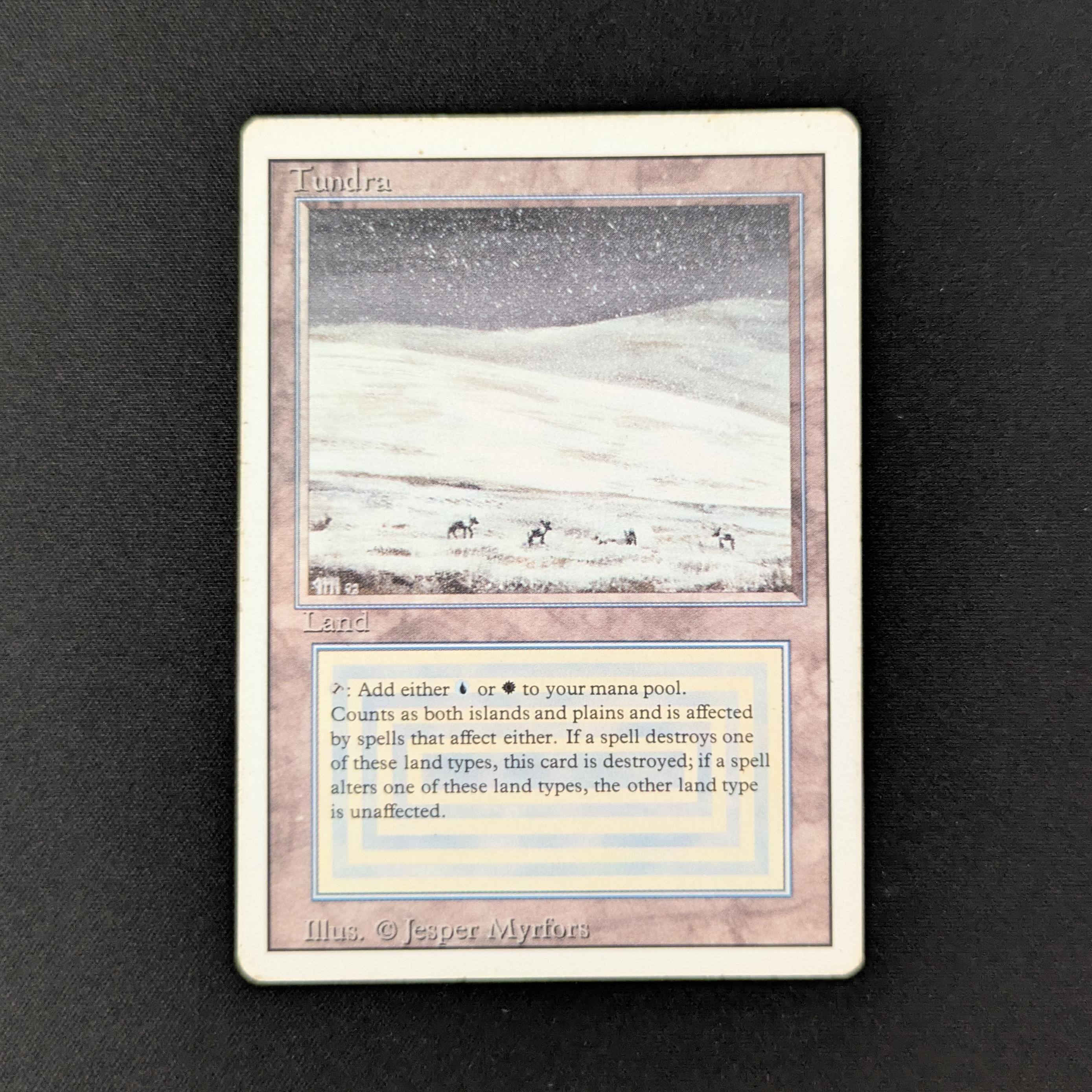 MTG Singles - Tundra - Revised - PL - 25681