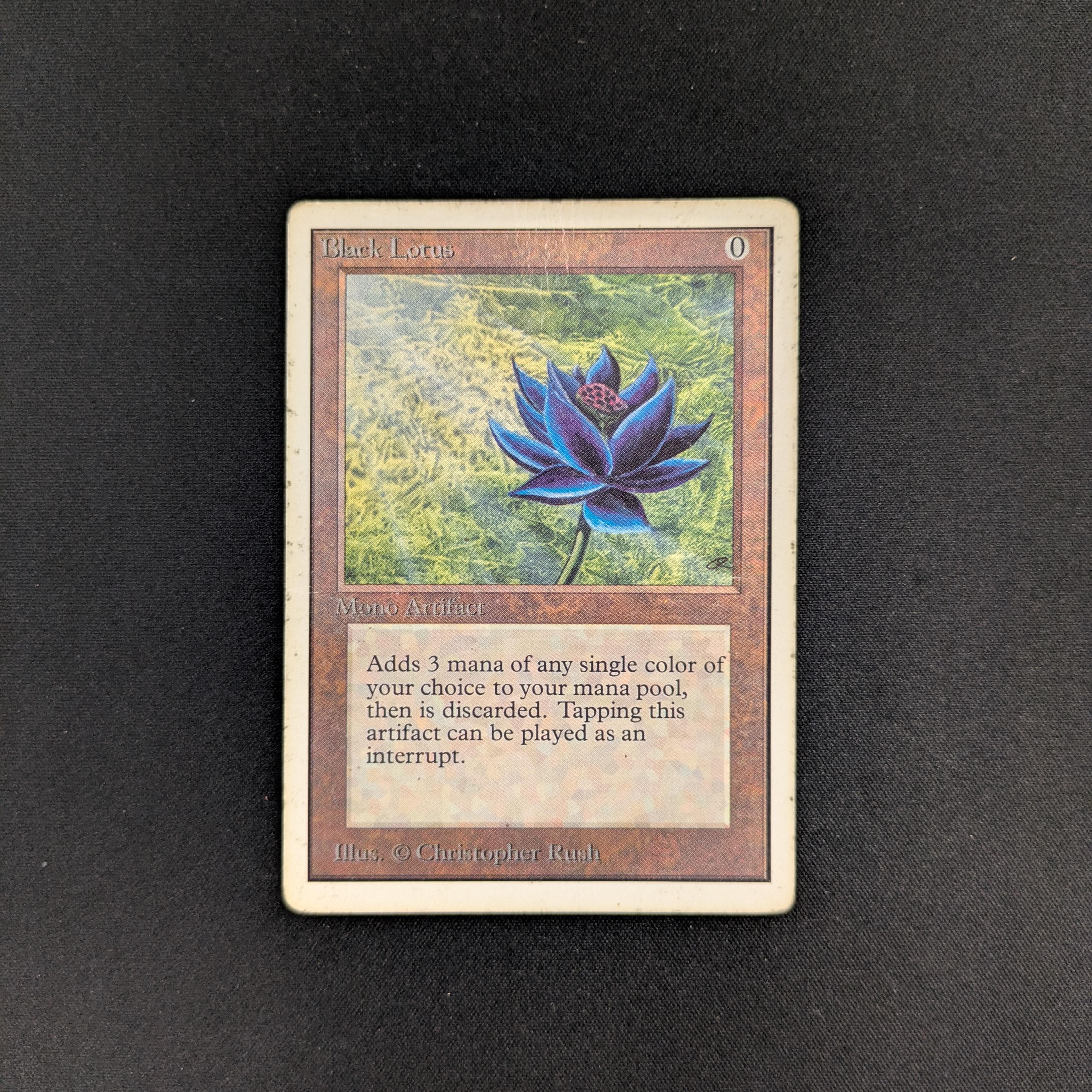 MTG Singles - Black Lotus - Unlimited - PL - 25719