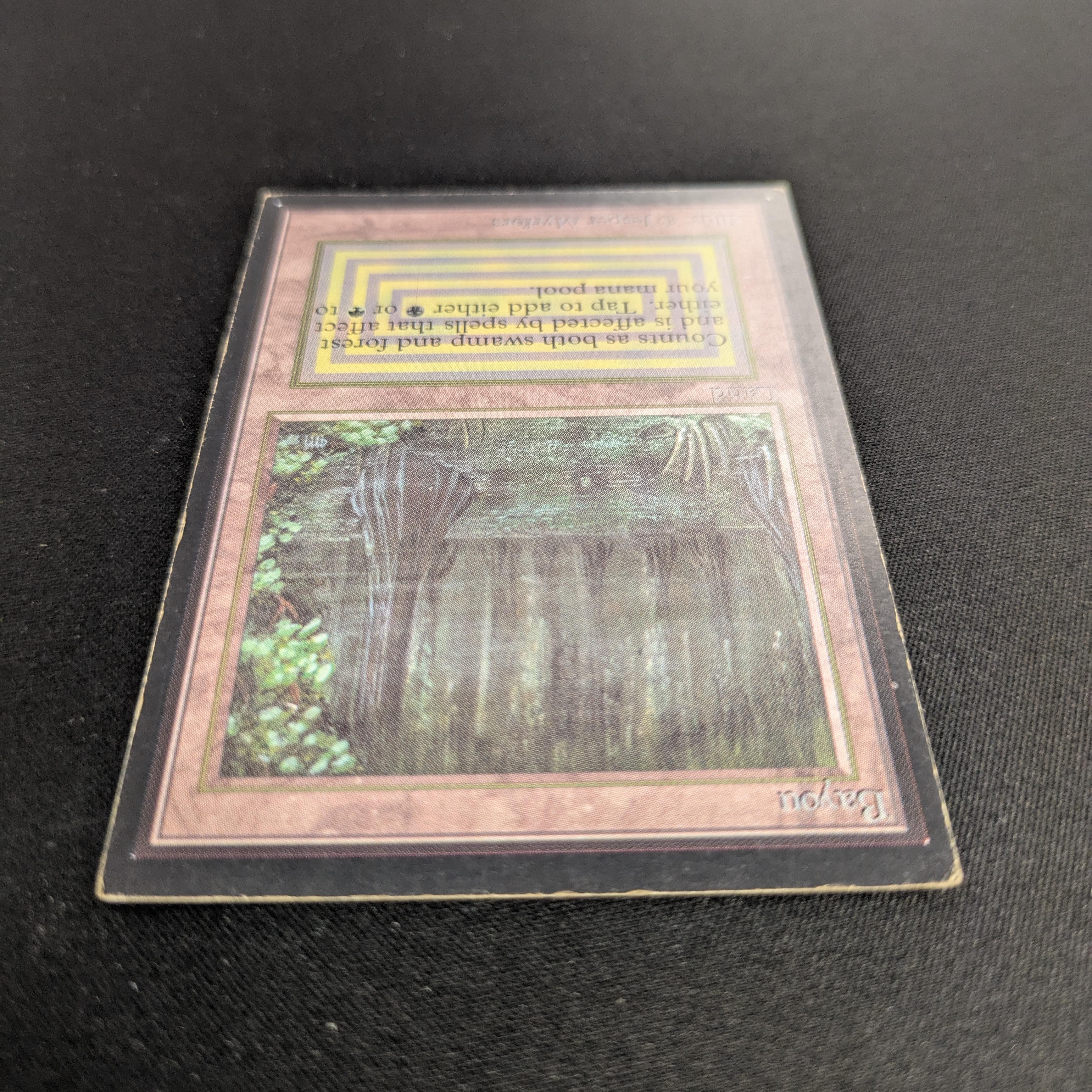 MTG Singles - Bayou - International Edition - 
