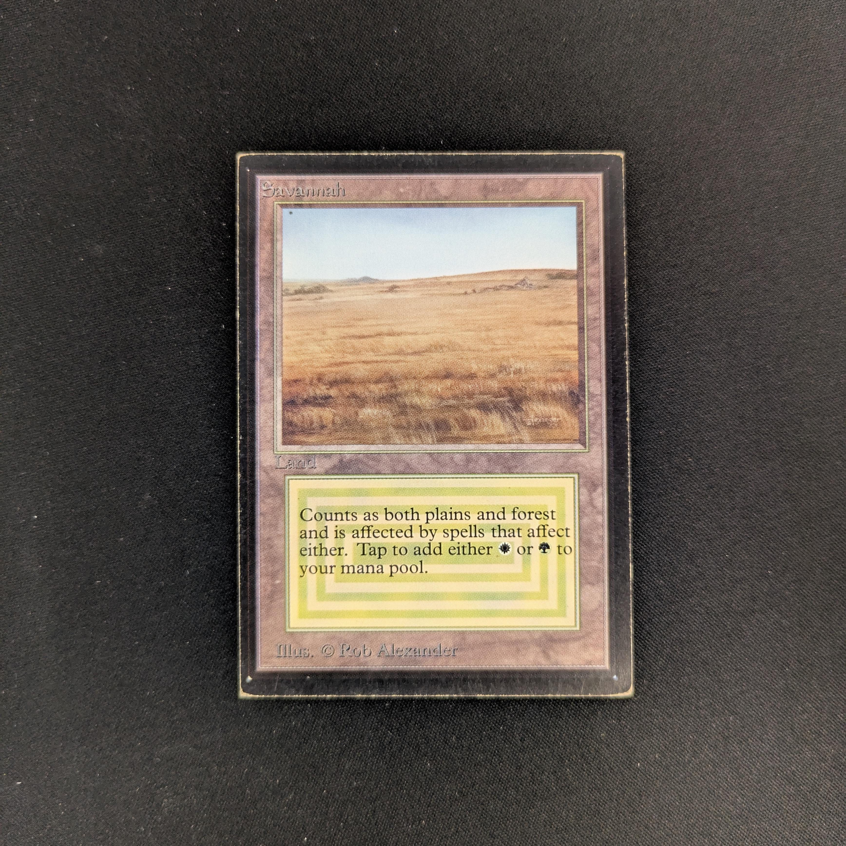 MTG Singles - Savannah - International Edition - PL - 25747