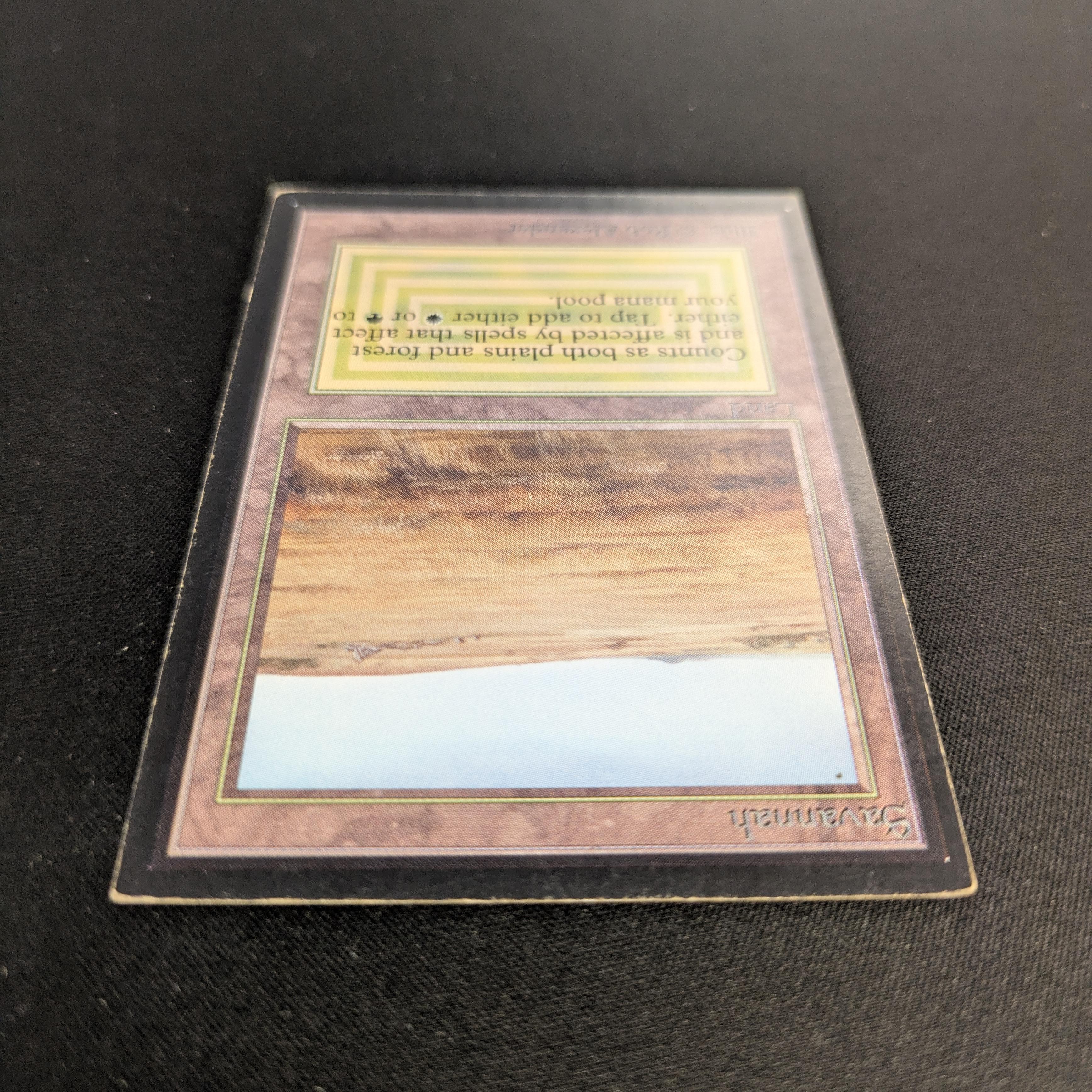 MTG Singles - Savannah - International Edition - 