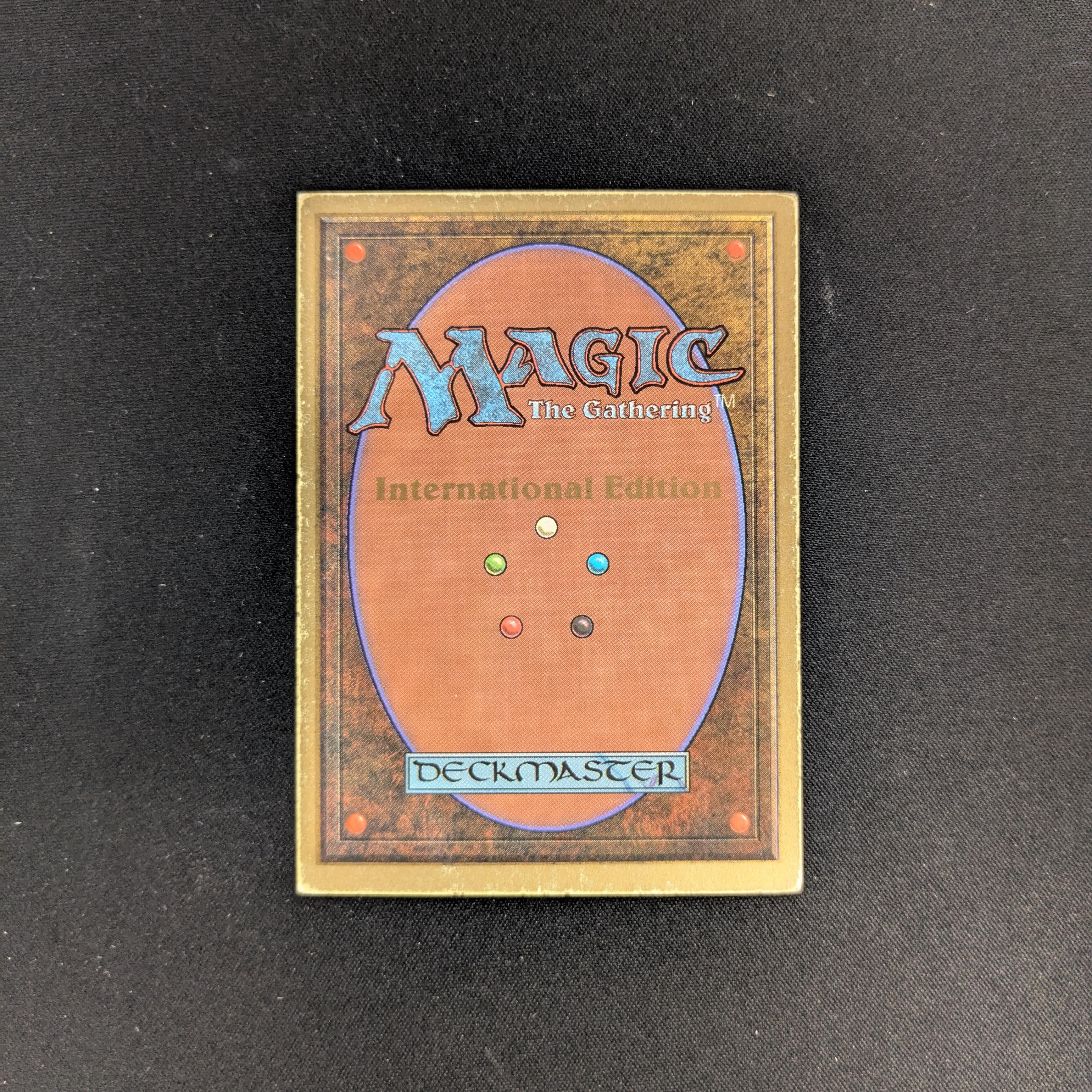 MTG Singles - Taiga - International Edition - 