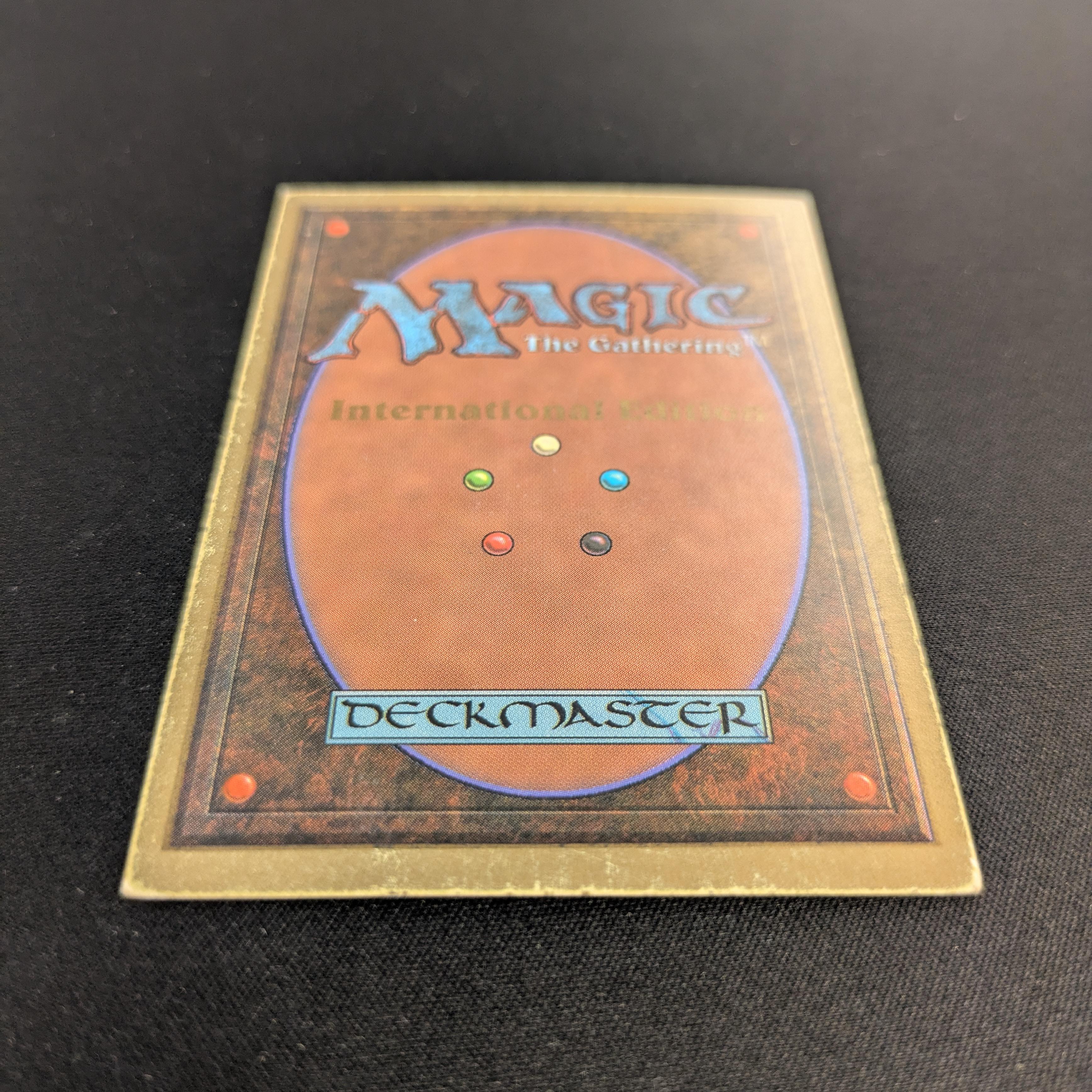 MTG Singles - Taiga - International Edition - 
