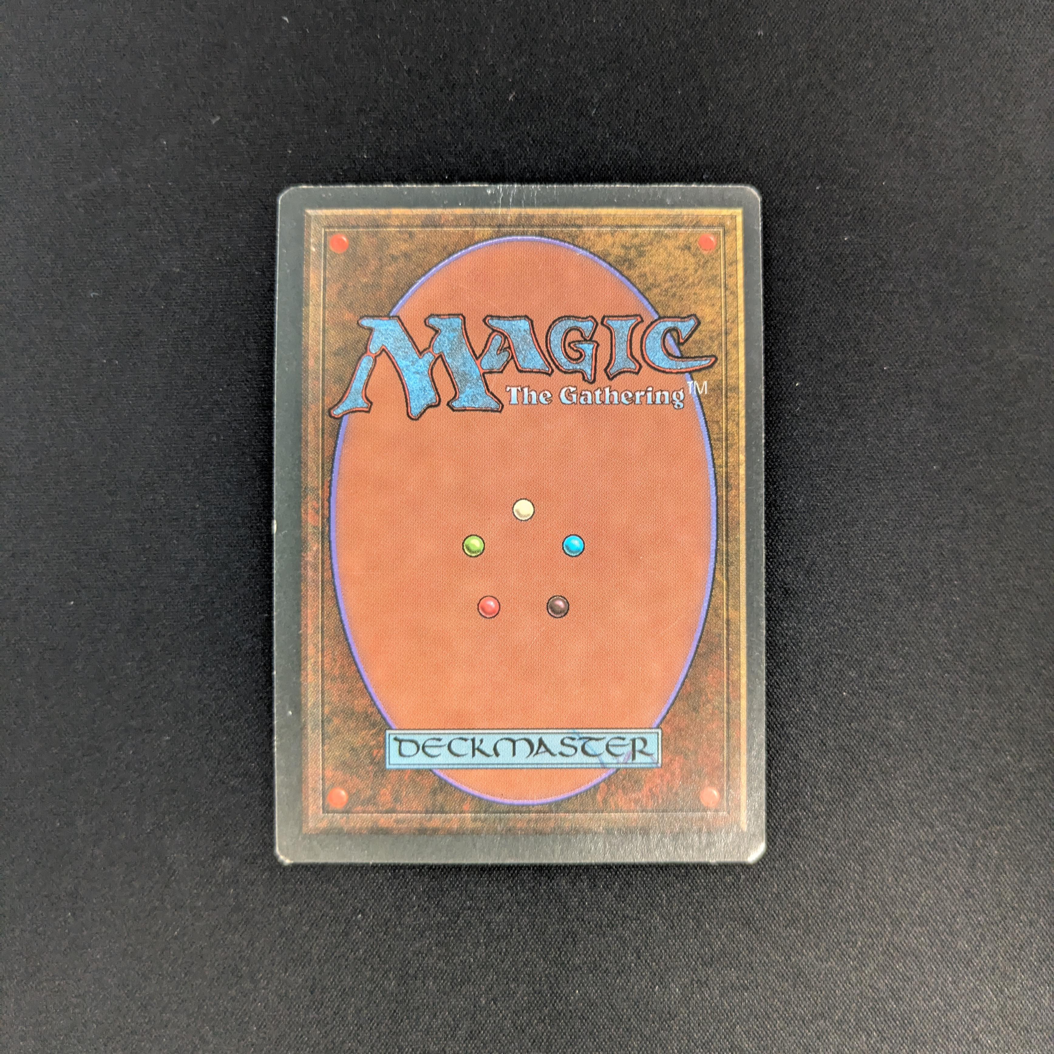 MTG Singles - Tundra - Foreign Black Bordered - 