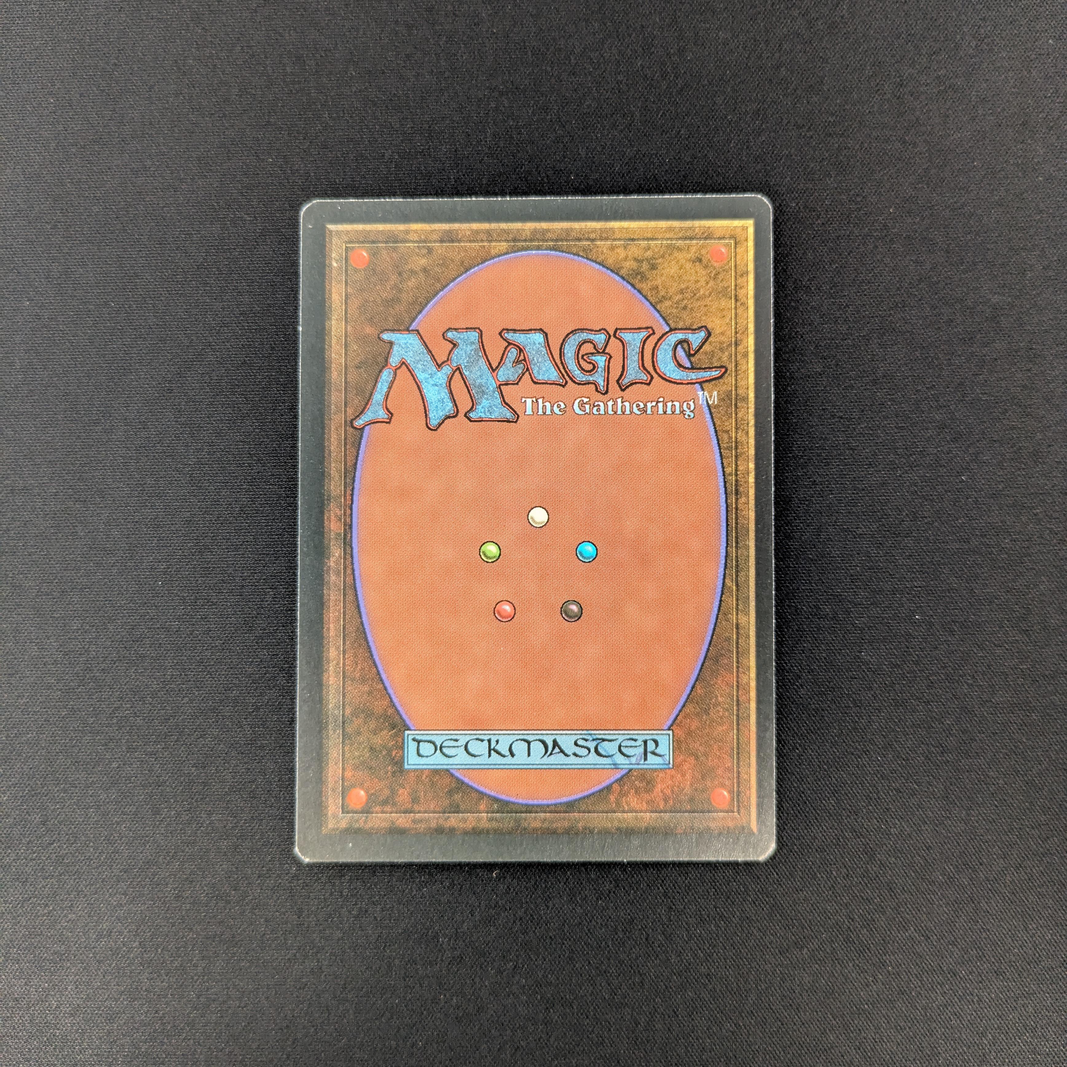 MTG Singles - Bayou - Foreign Black Bordered - 
