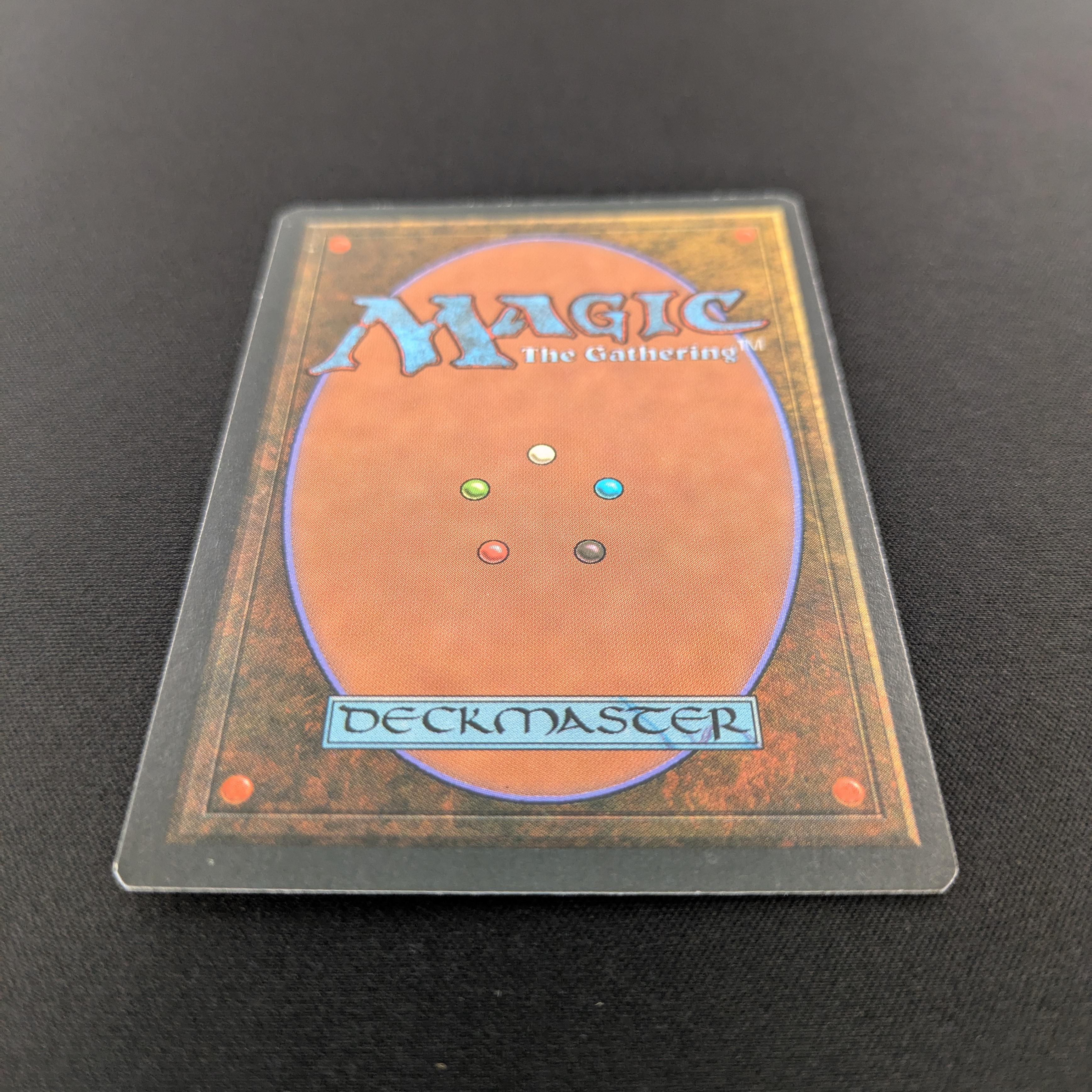 MTG Singles - Bayou - Foreign Black Bordered - 