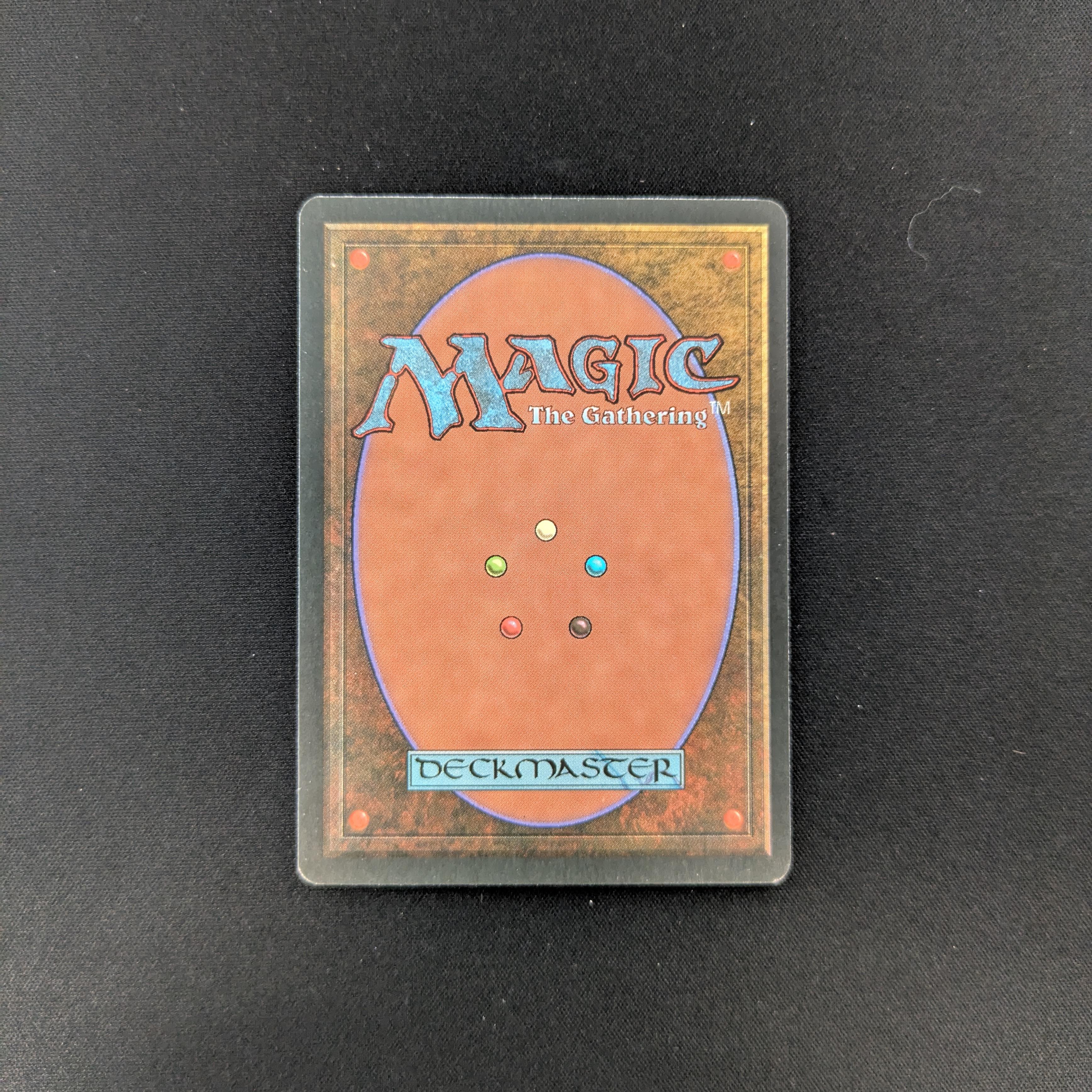 MTG Singles - Taiga - Foreign Black Bordered - 