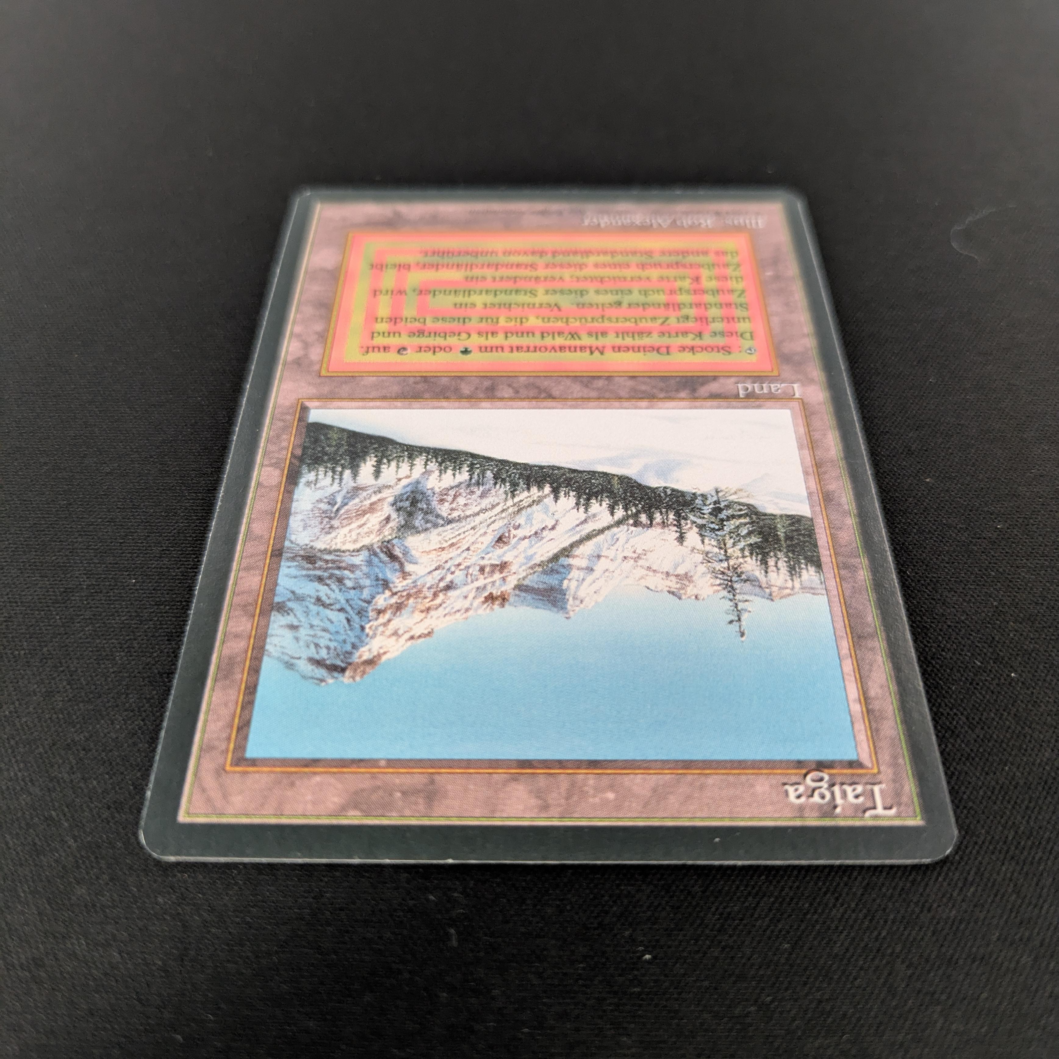 MTG Singles - Taiga - Foreign Black Bordered - 