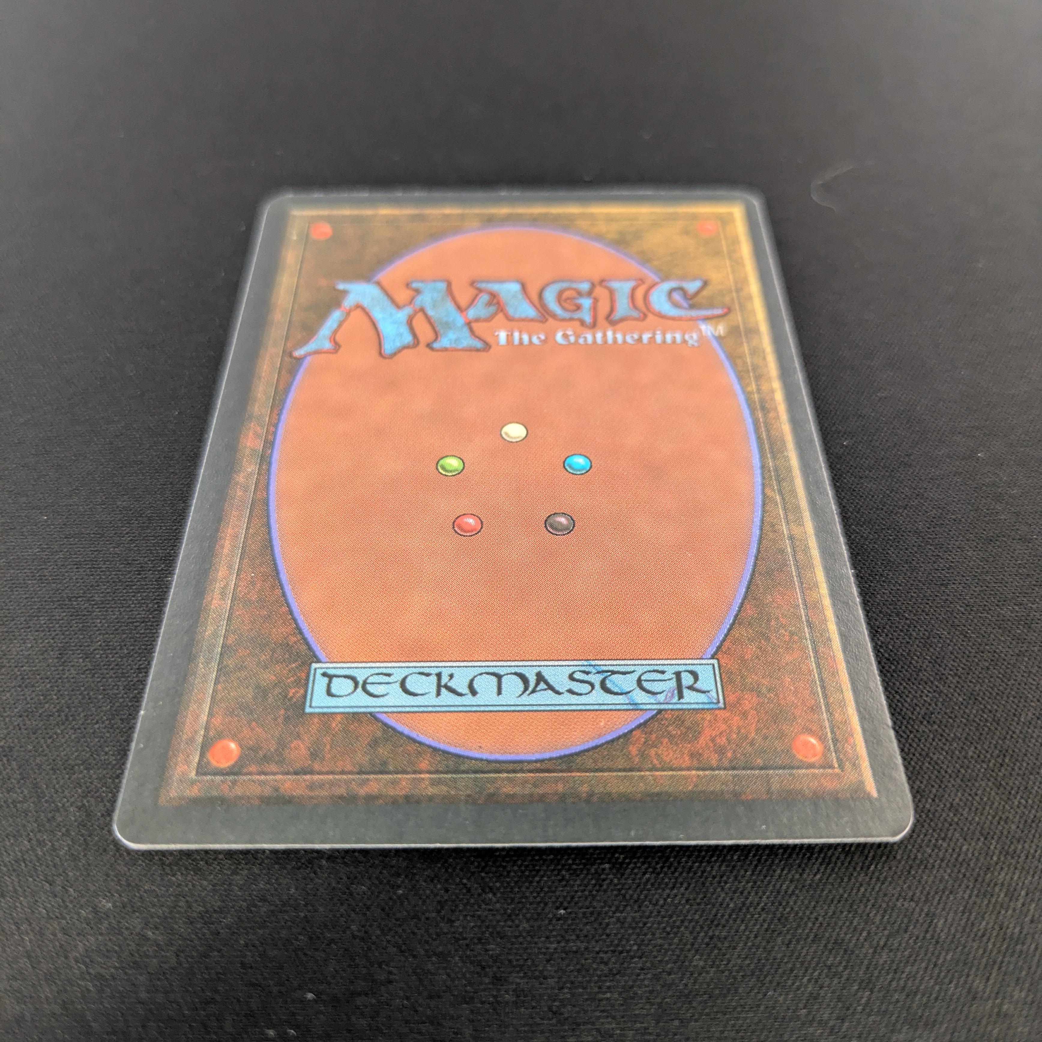 MTG Singles - Taiga - Foreign Black Bordered - 