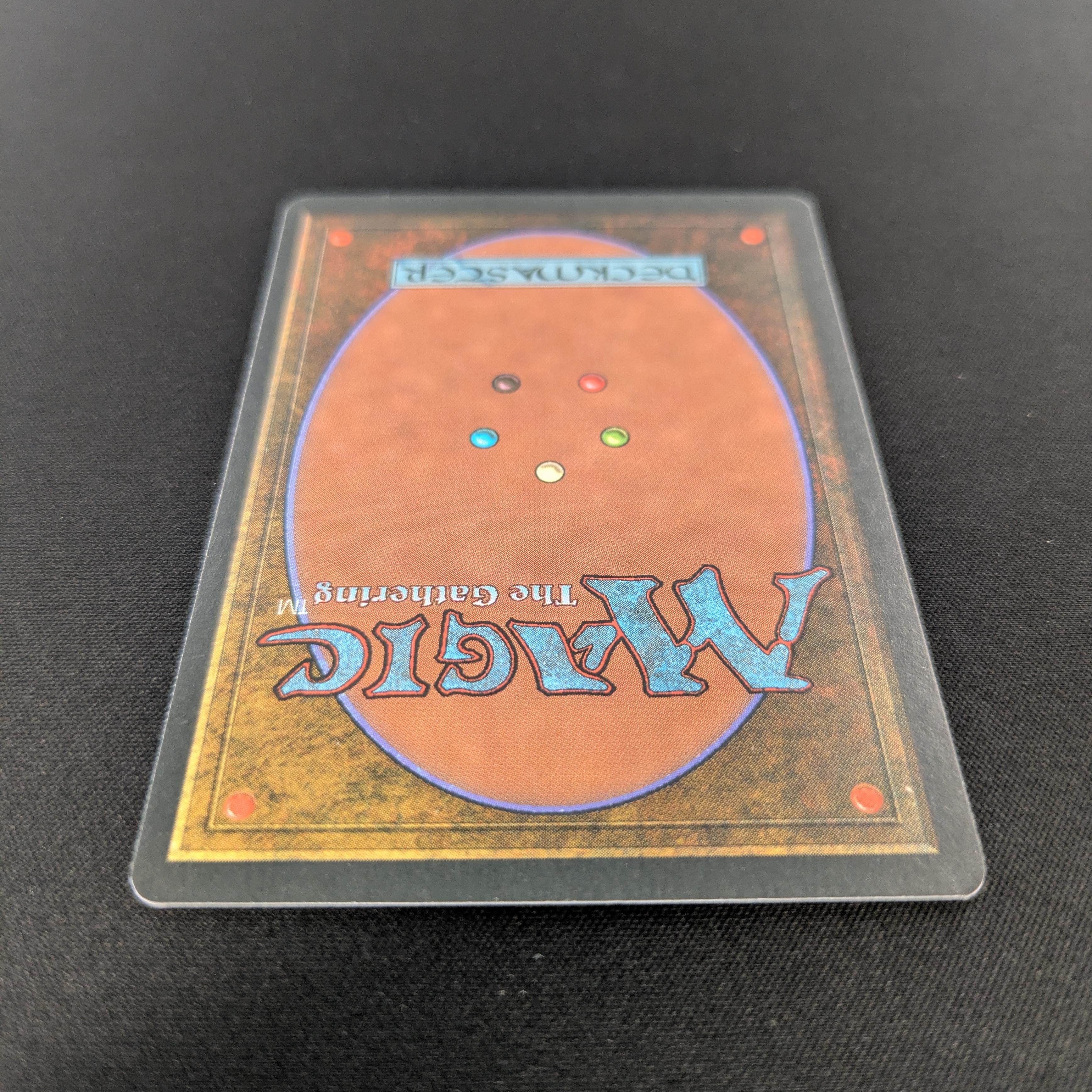 MTG Singles - Taiga - Foreign Black Bordered - 