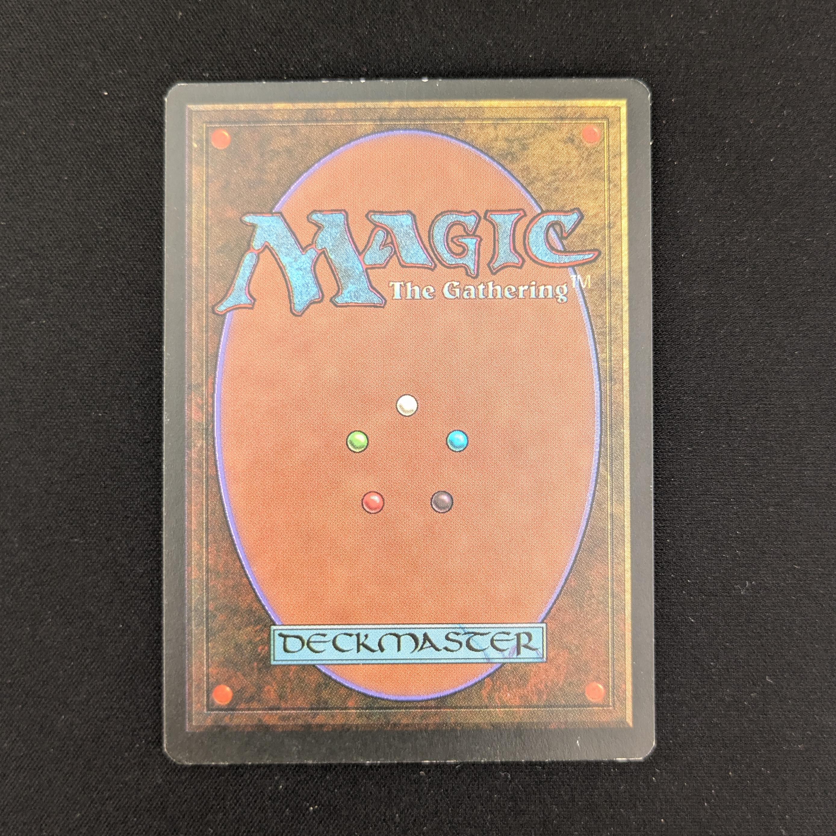 MTG Singles - Tundra - Foreign Black Bordered - 