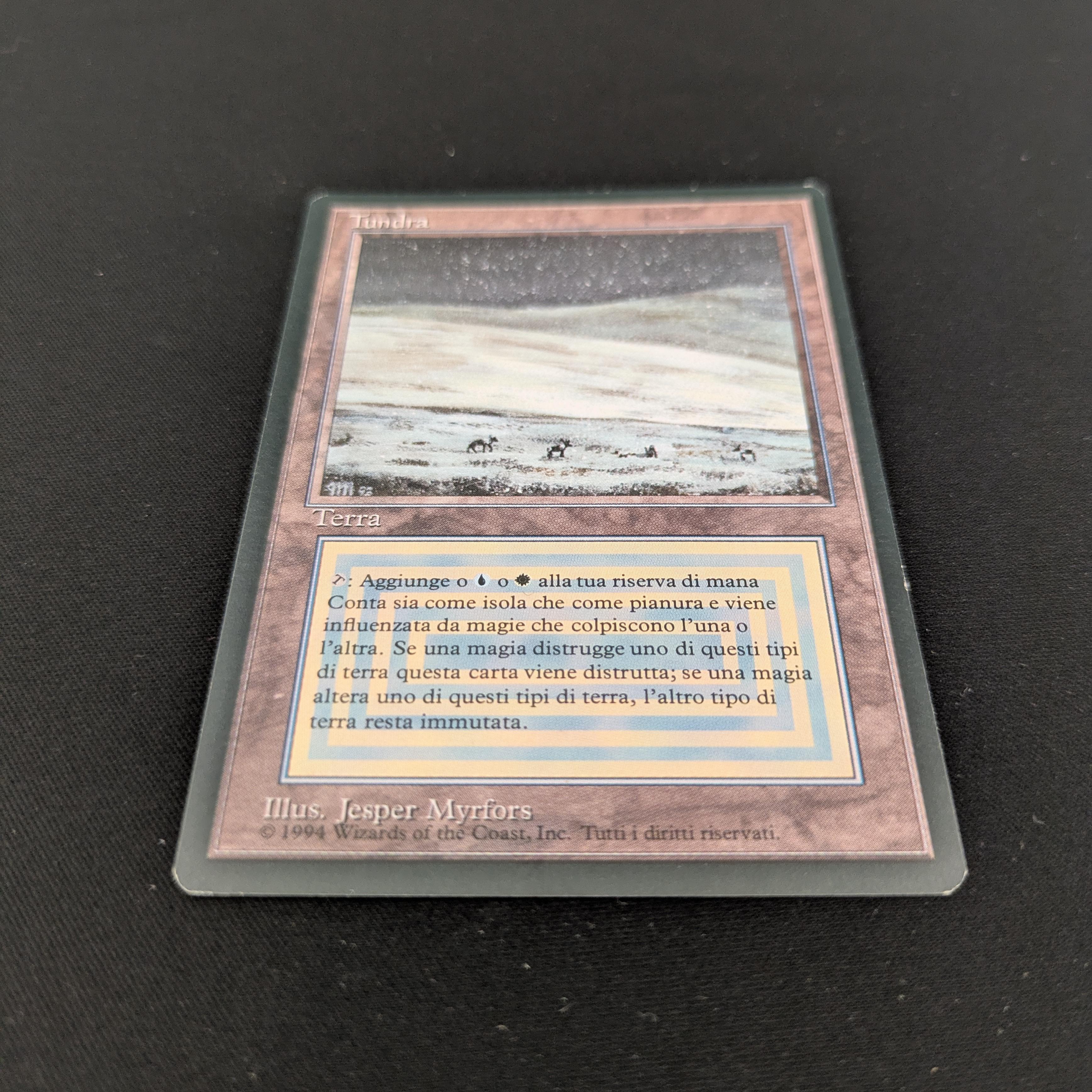 MTG Singles - Tundra - Foreign Black Bordered - 