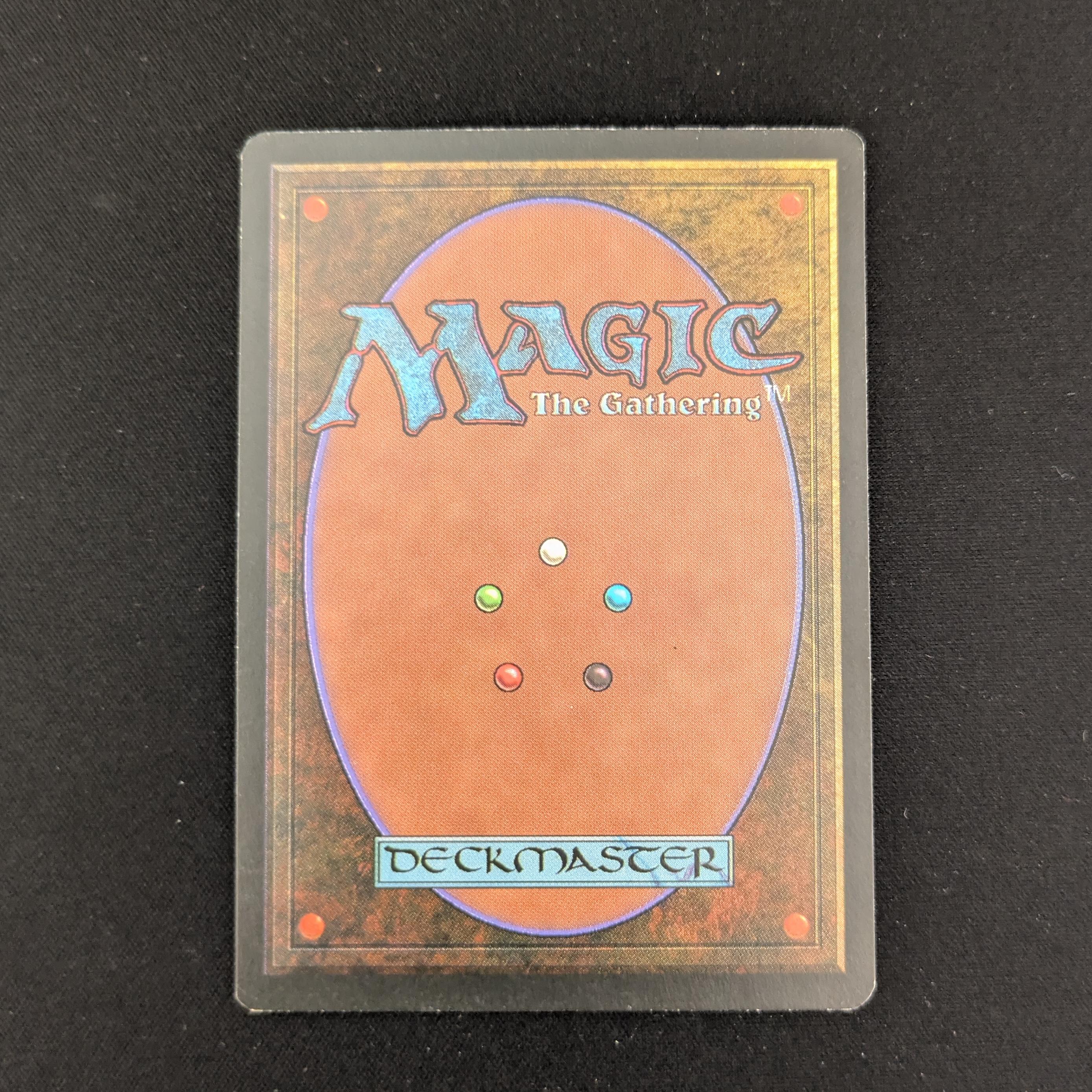 MTG Singles - Tundra - Foreign Black Bordered - 