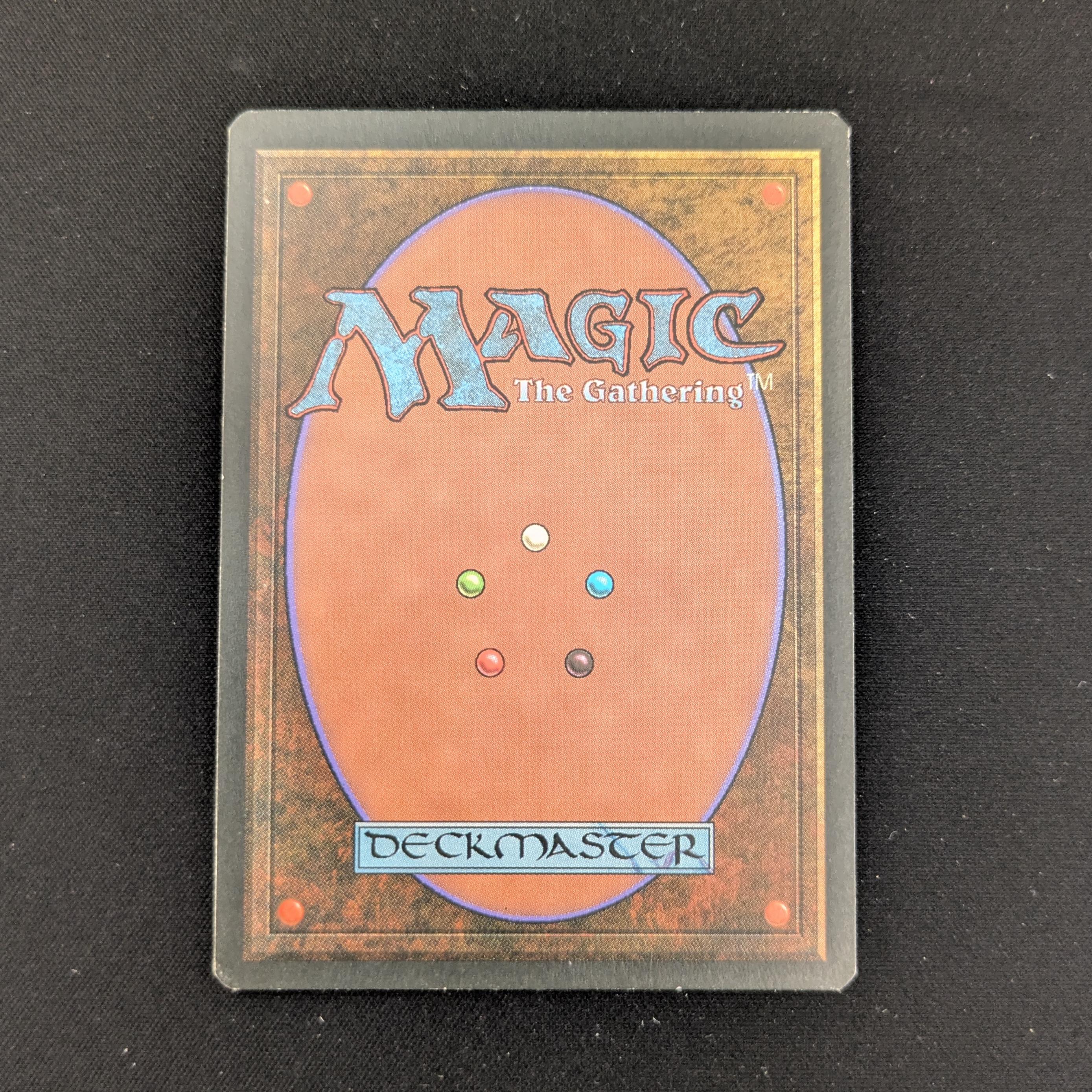 MTG Singles - Tundra - Foreign Black Bordered - 