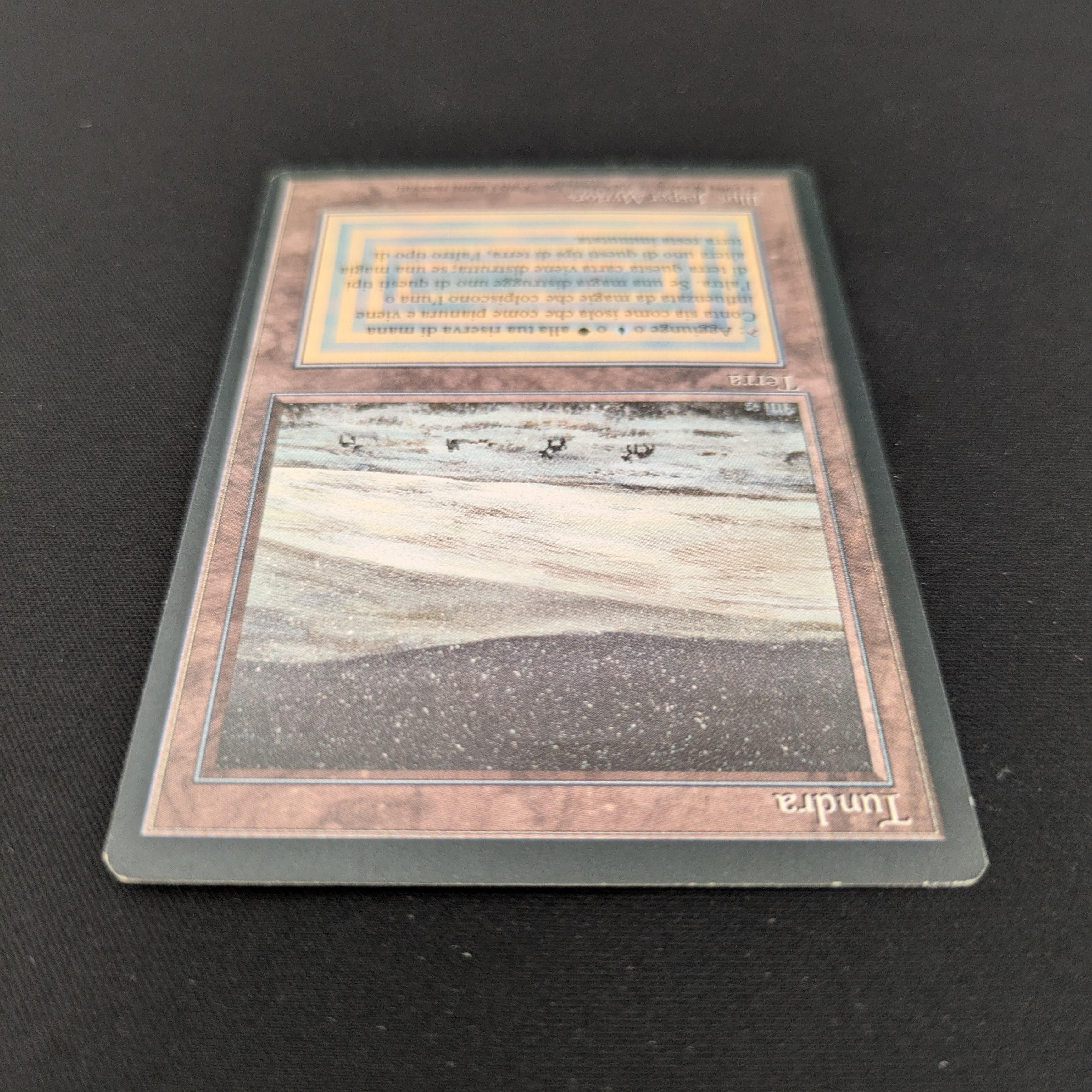 MTG Singles - Tundra - Foreign Black Bordered - 