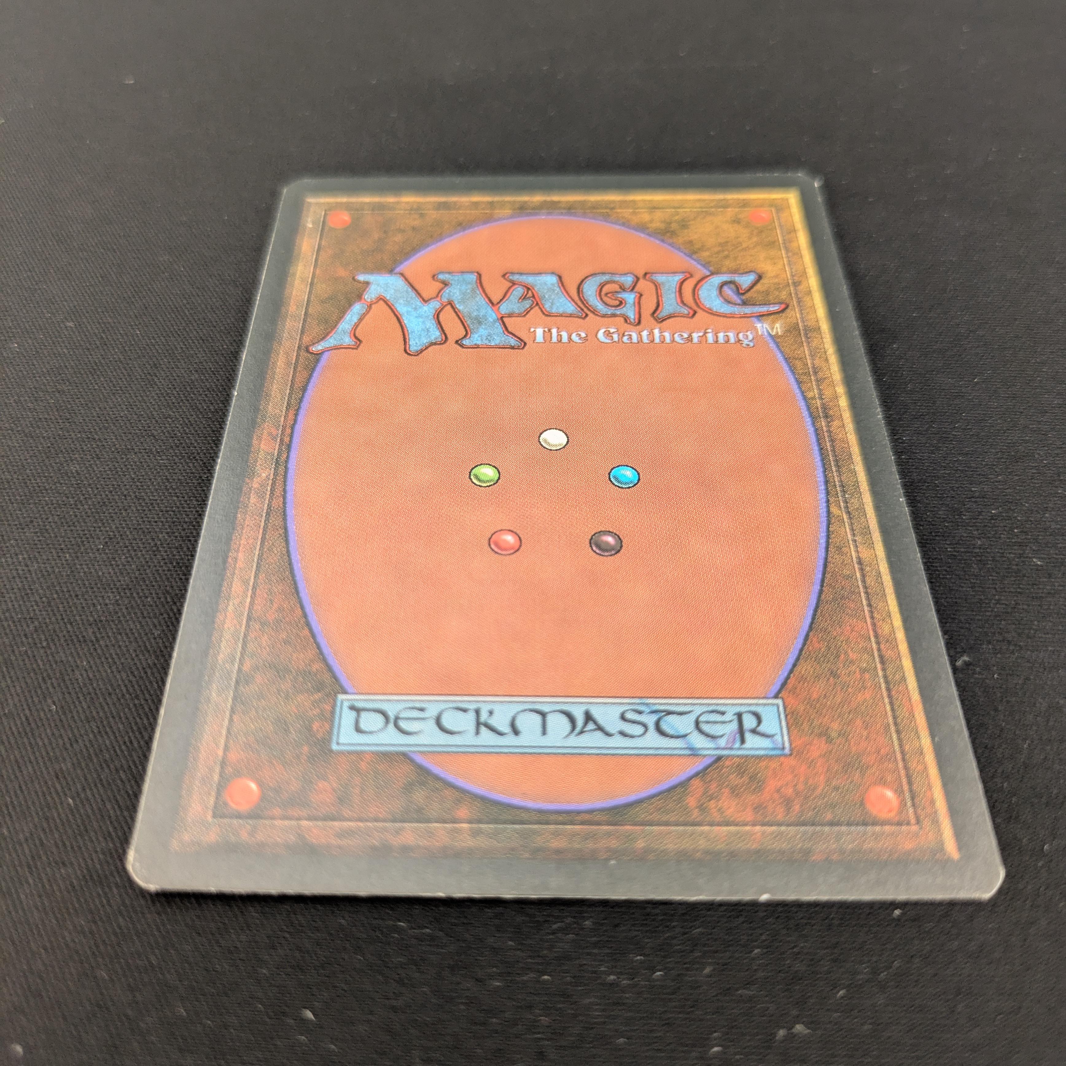 MTG Singles - Tundra - Foreign Black Bordered - 