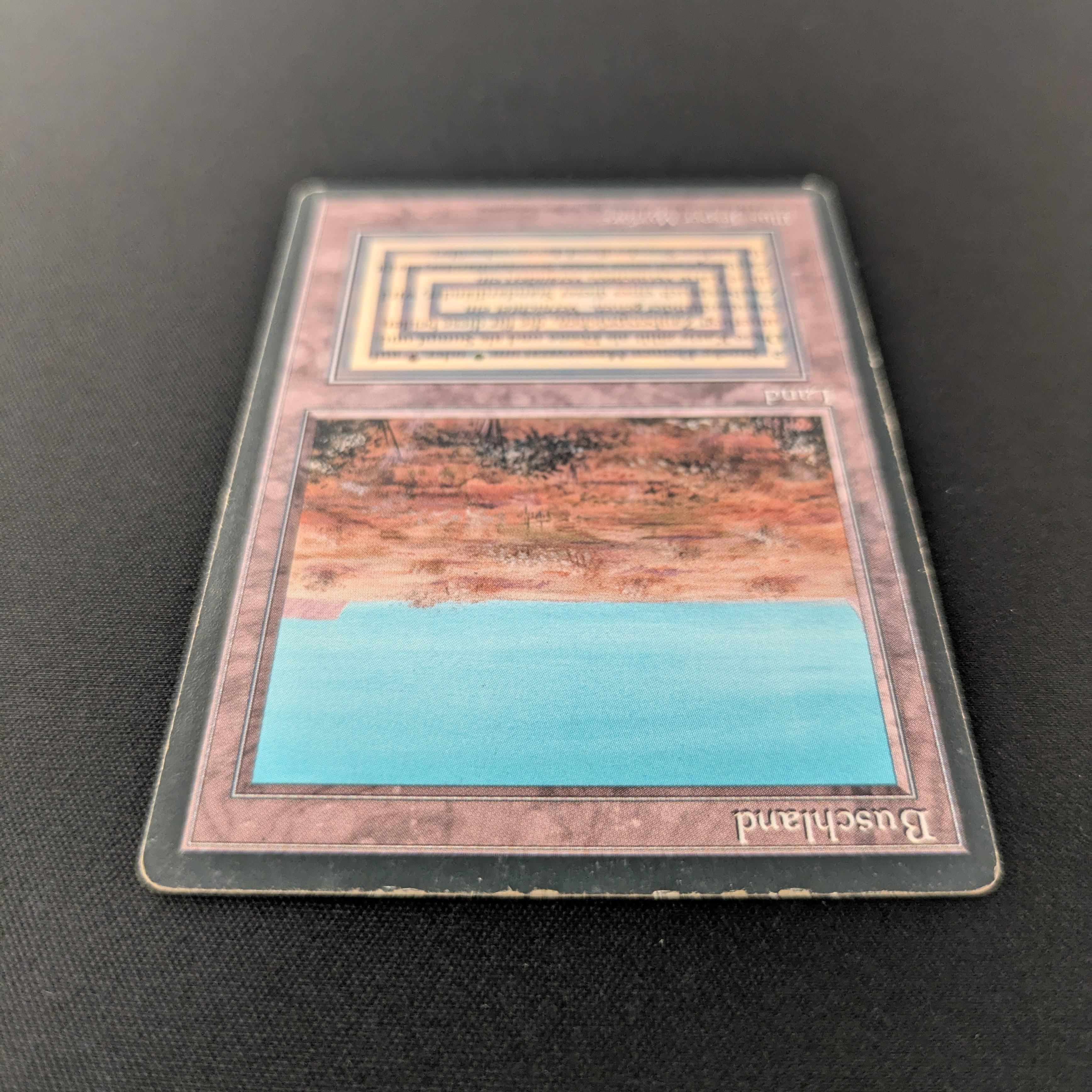 MTG Singles - Scrubland - Foreign Black Bordered - 