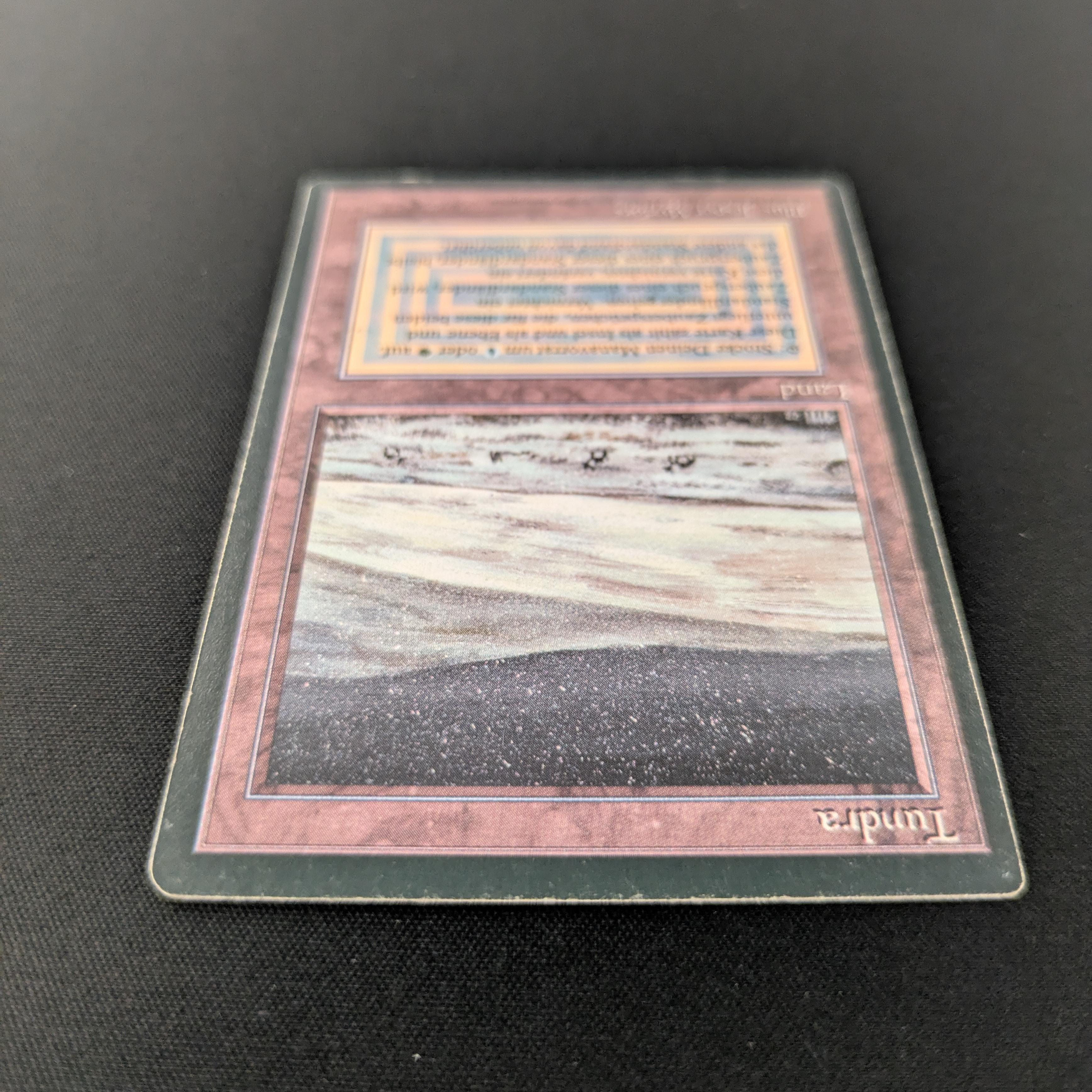 MTG Singles - Tundra - Foreign Black Bordered - 