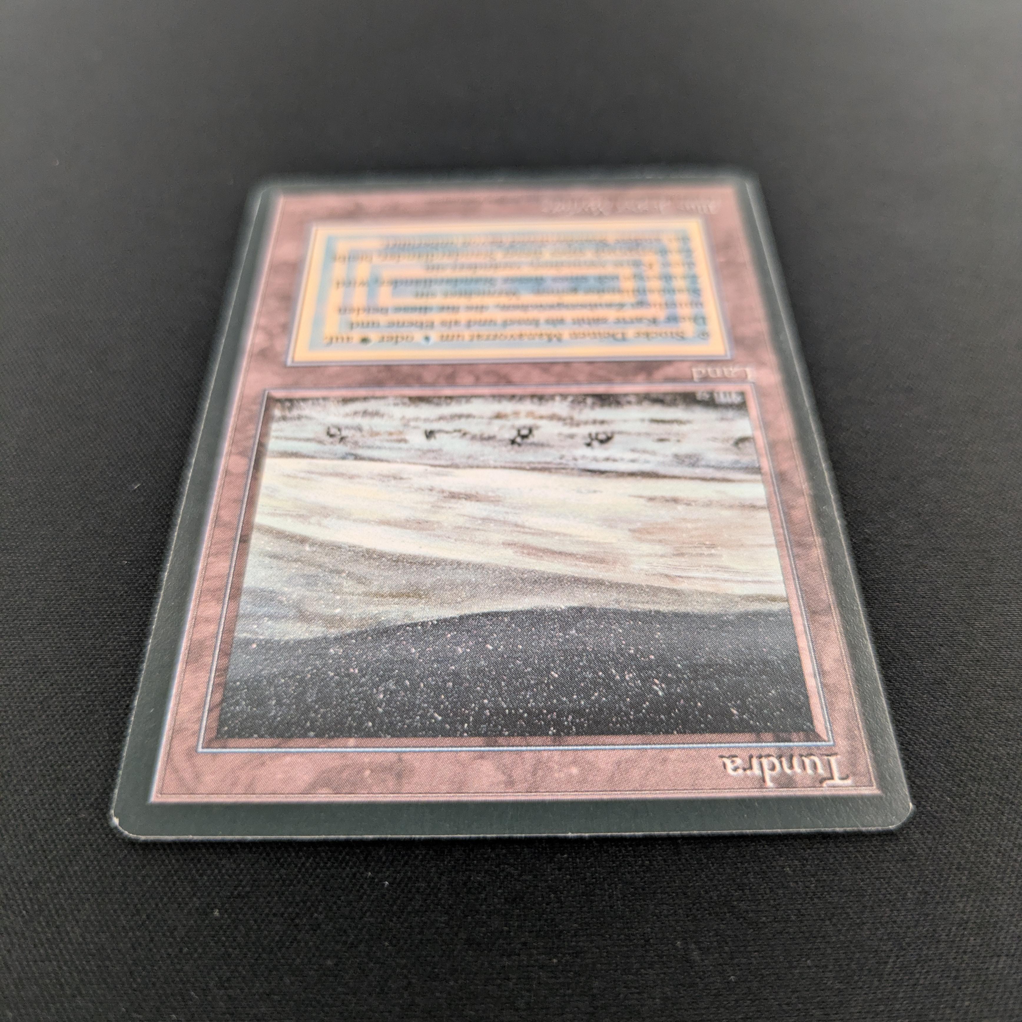MTG Singles - Tundra - Foreign Black Bordered - 