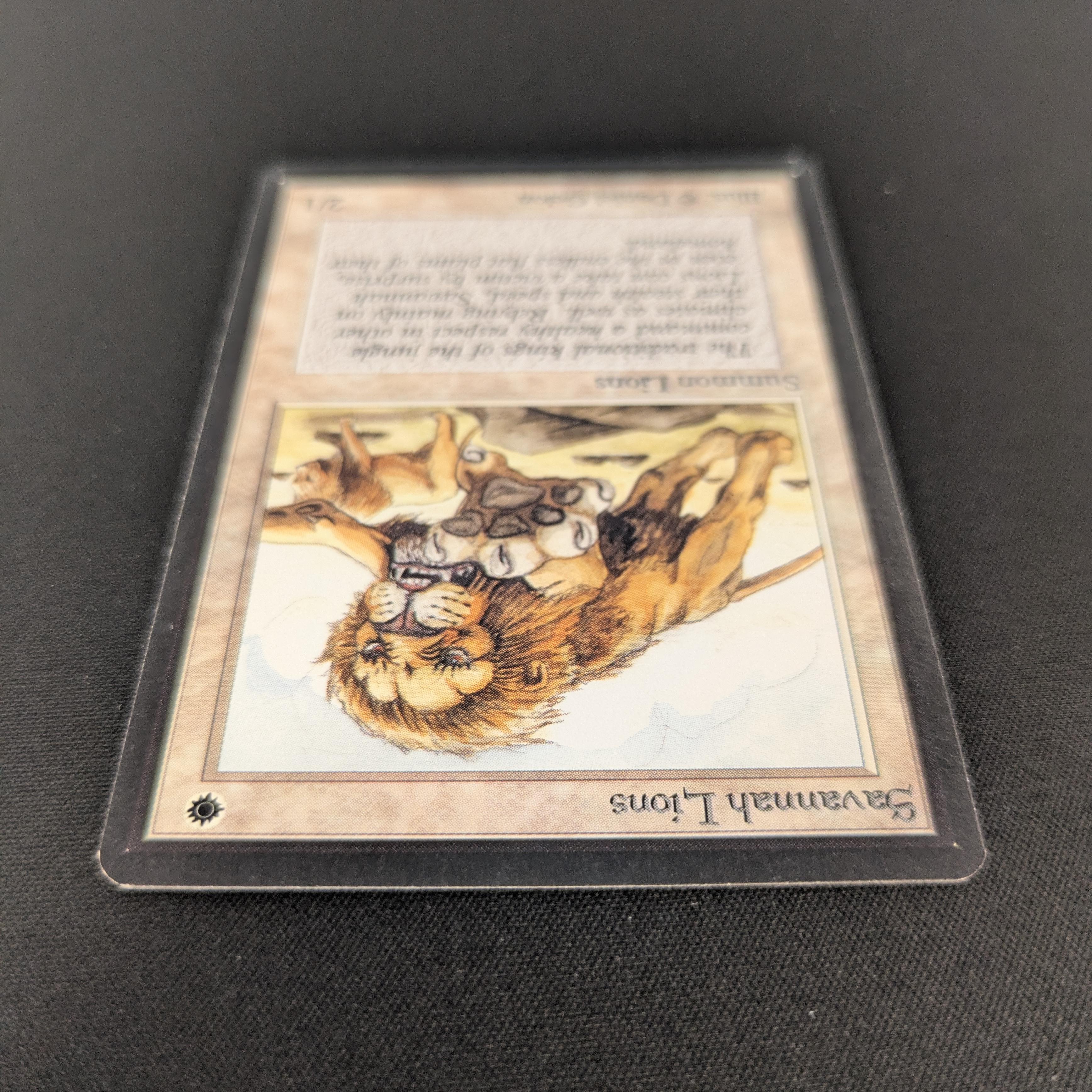 MTG Singles - Savannah Lions - Beta - 