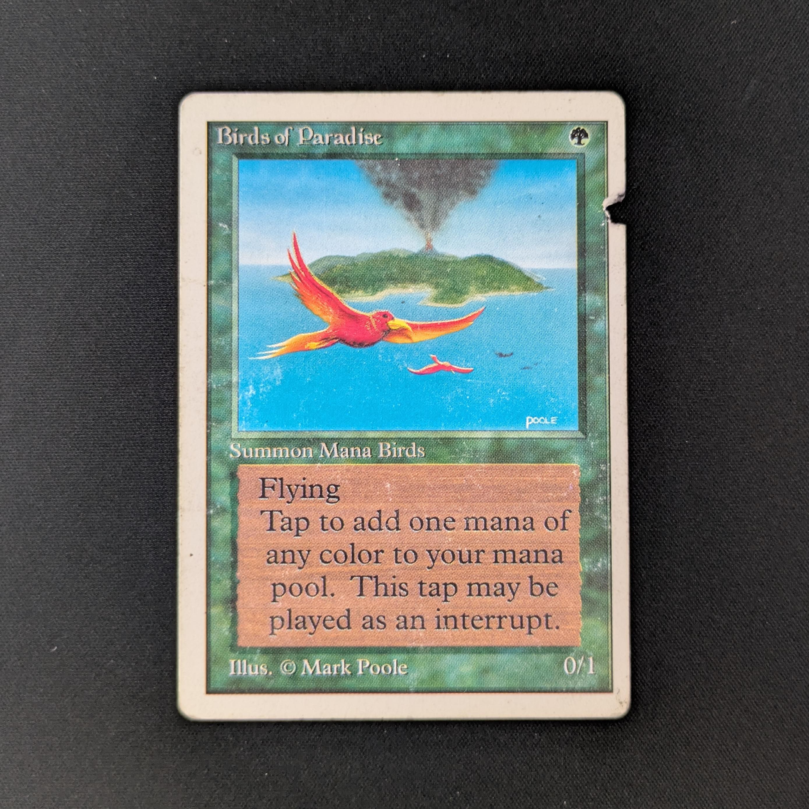 MTG Singles - Birds of Paradise - Unlimited - PO - 26202