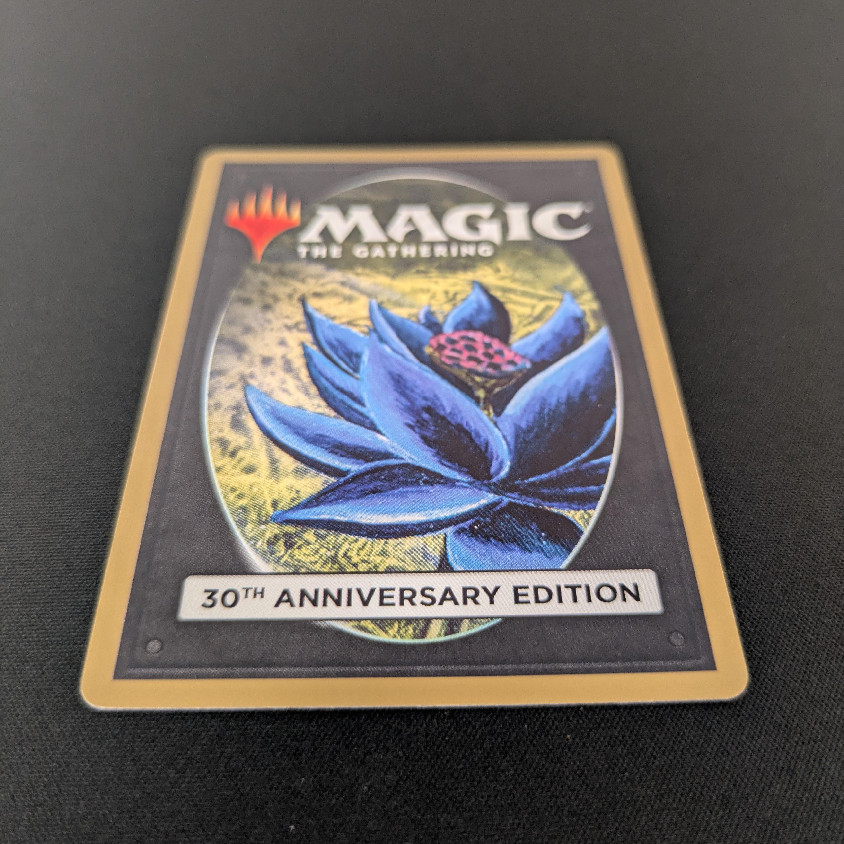 MTG Singles - Taiga (Modern Frame) - 30th Anniversary Edition - 