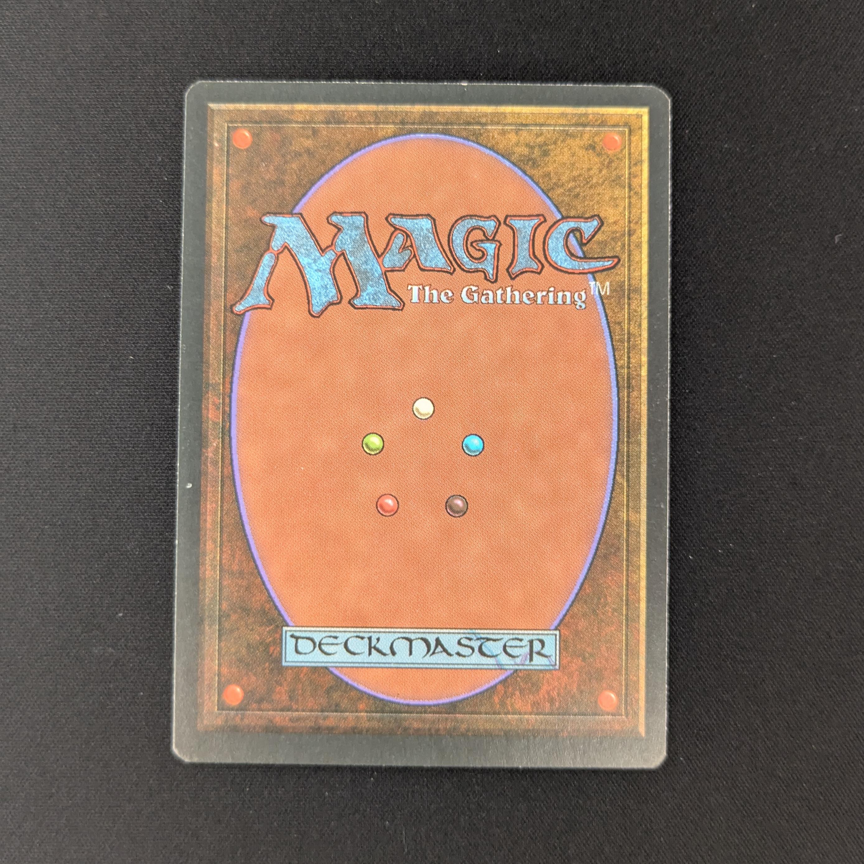 MTG Singles - Taiga - Foreign White Bordered - 
