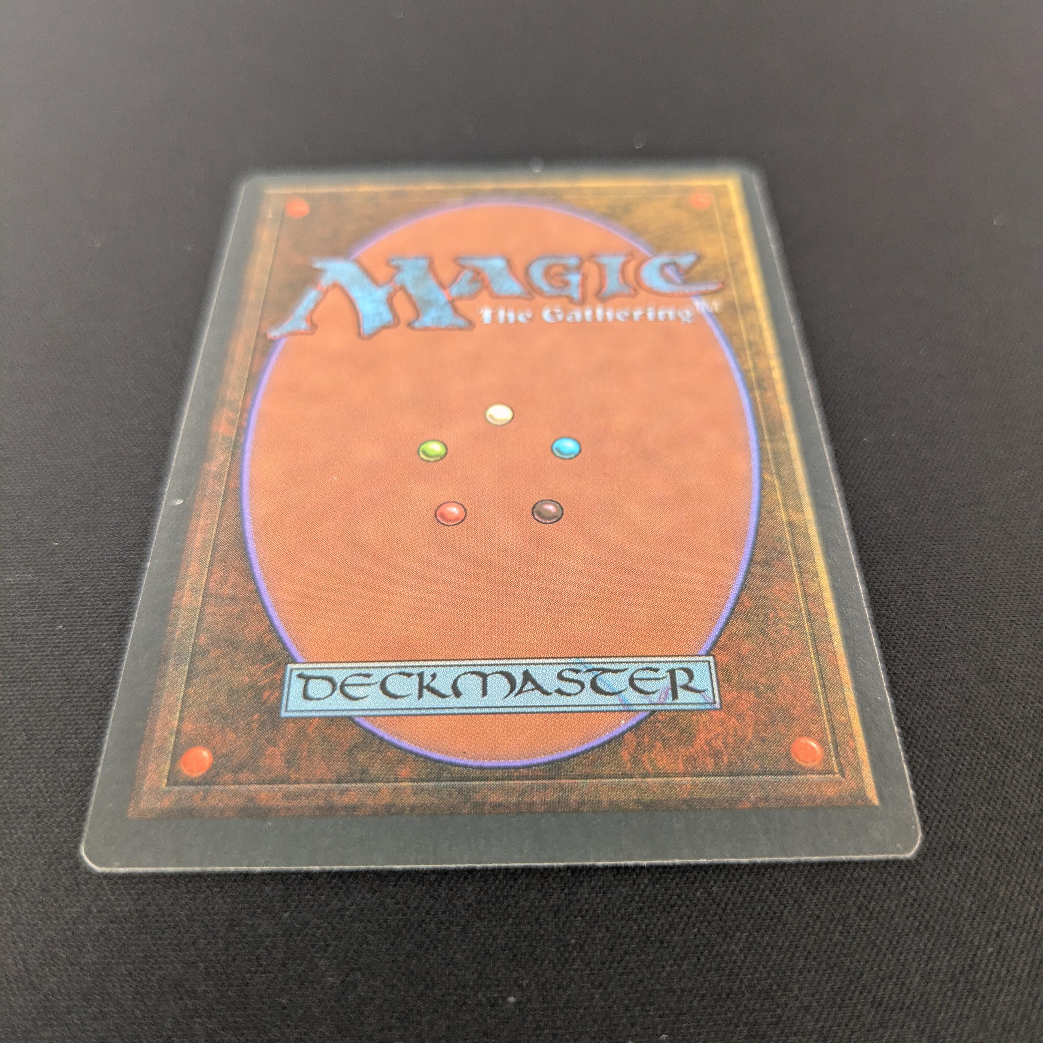 MTG Singles - Taiga - Foreign White Bordered - 