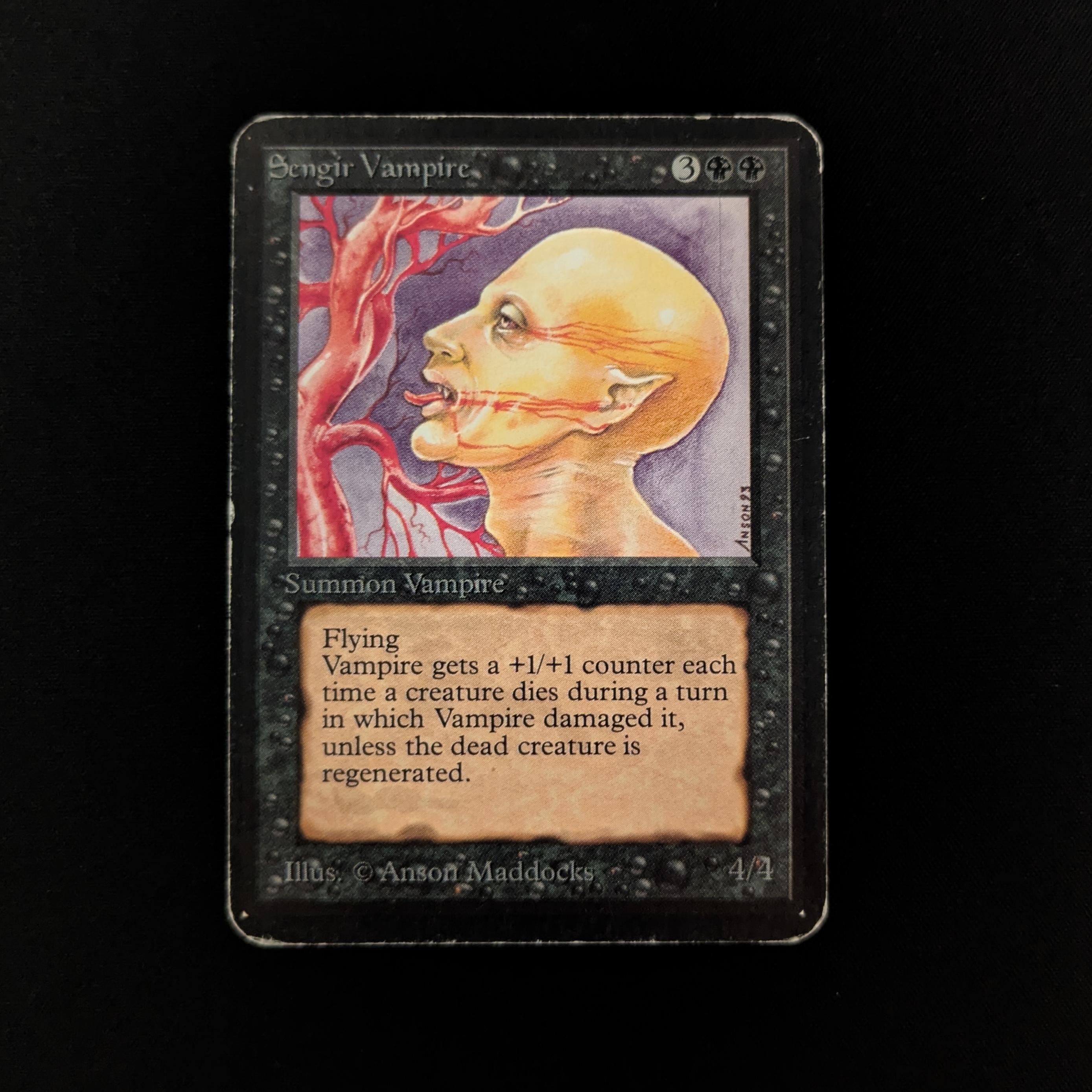 MTG Singles - Sengir Vampire - Alpha - PL - 26356