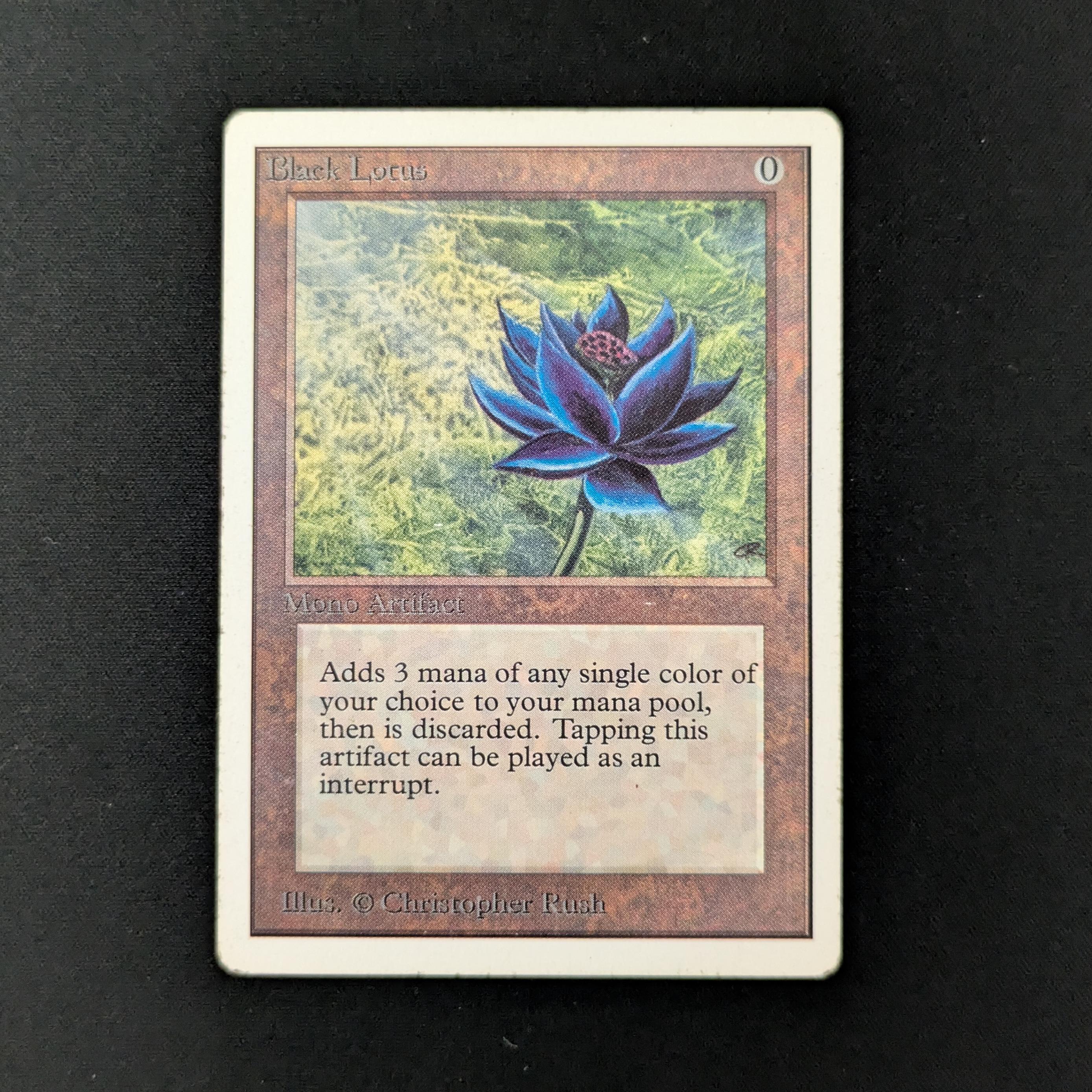 MTG Singles - Black Lotus - Unlimited - PL - INKED - 26400