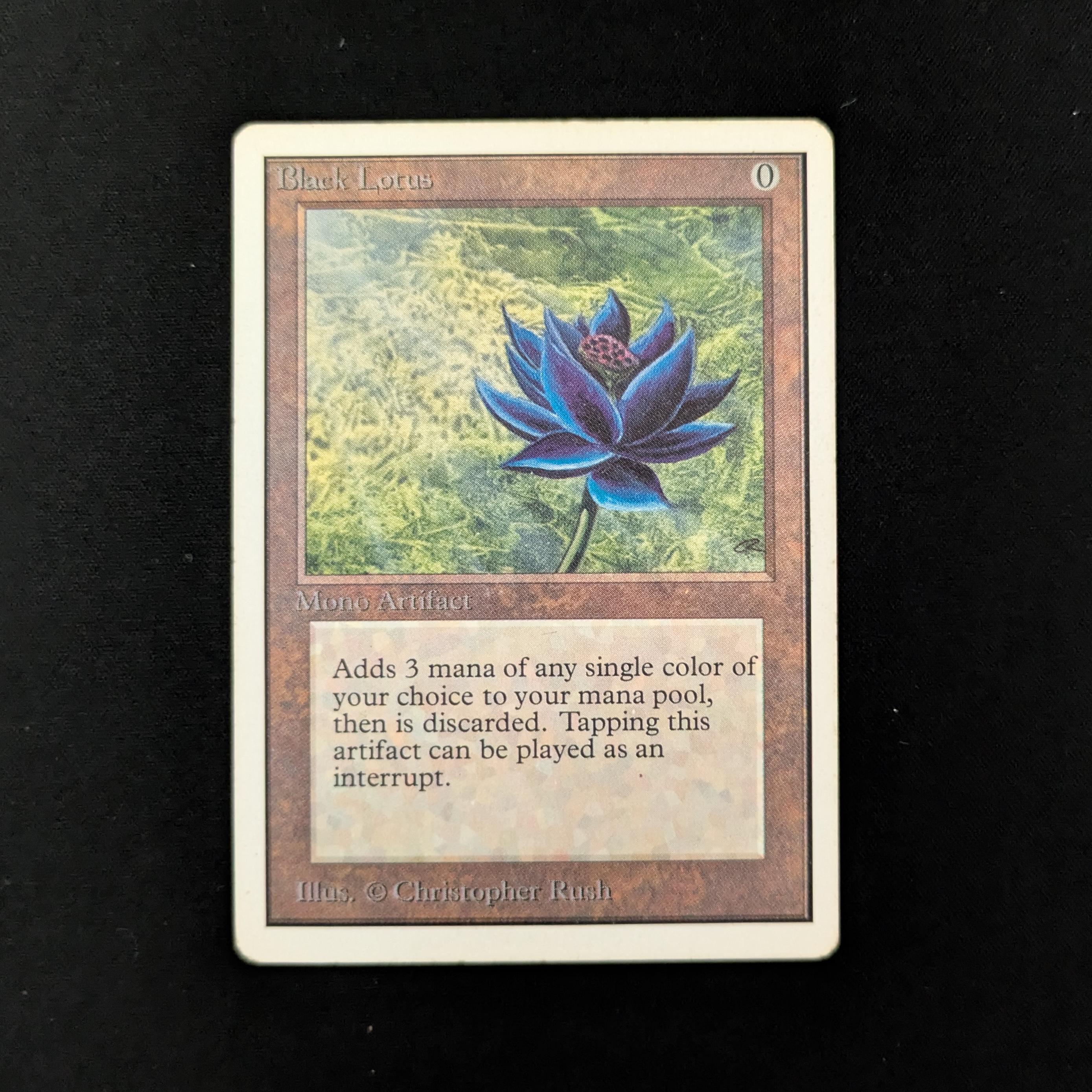 MTG Singles - Black Lotus - Unlimited - PL - 26401