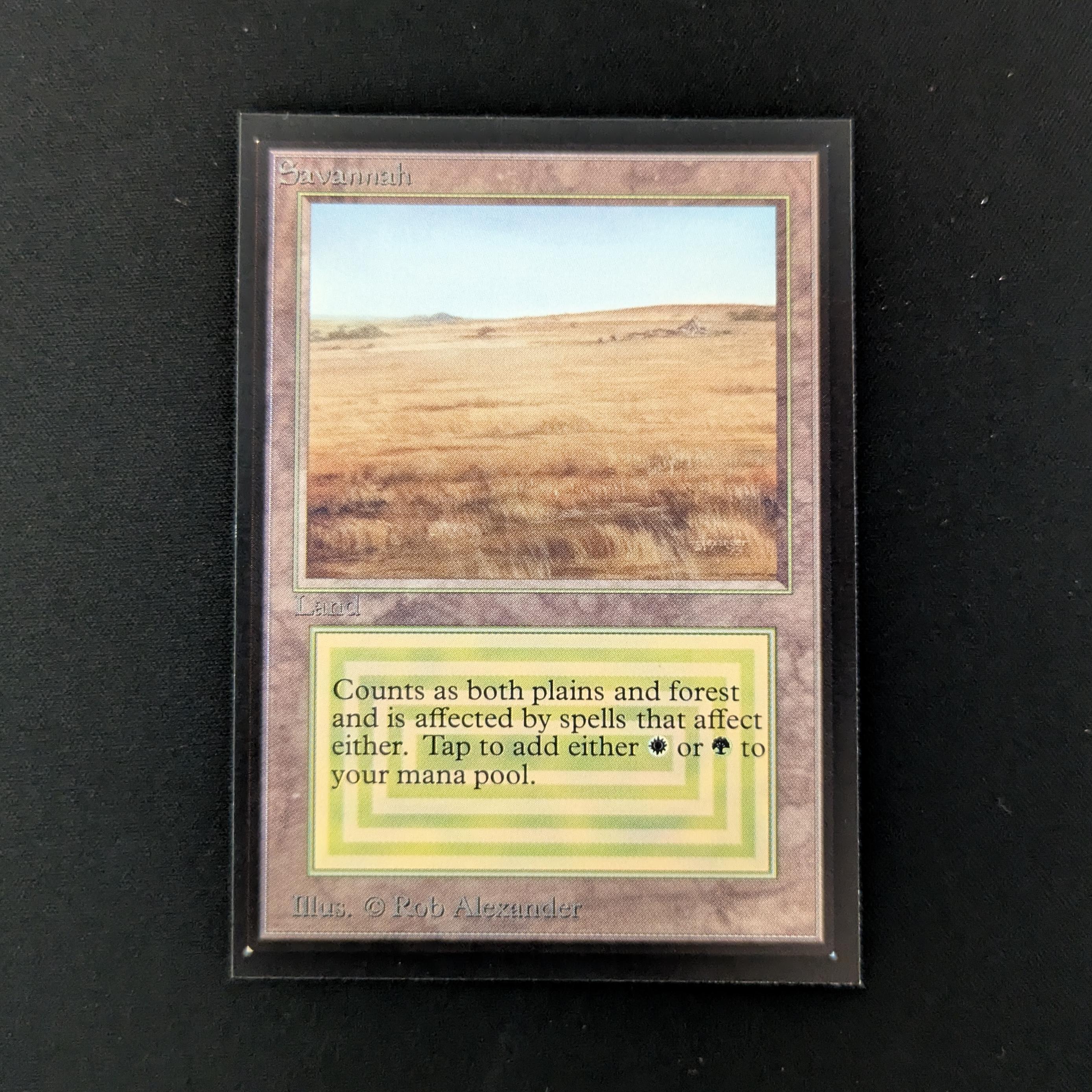 MTG Singles - Savannah - International Edition - NM - 26488