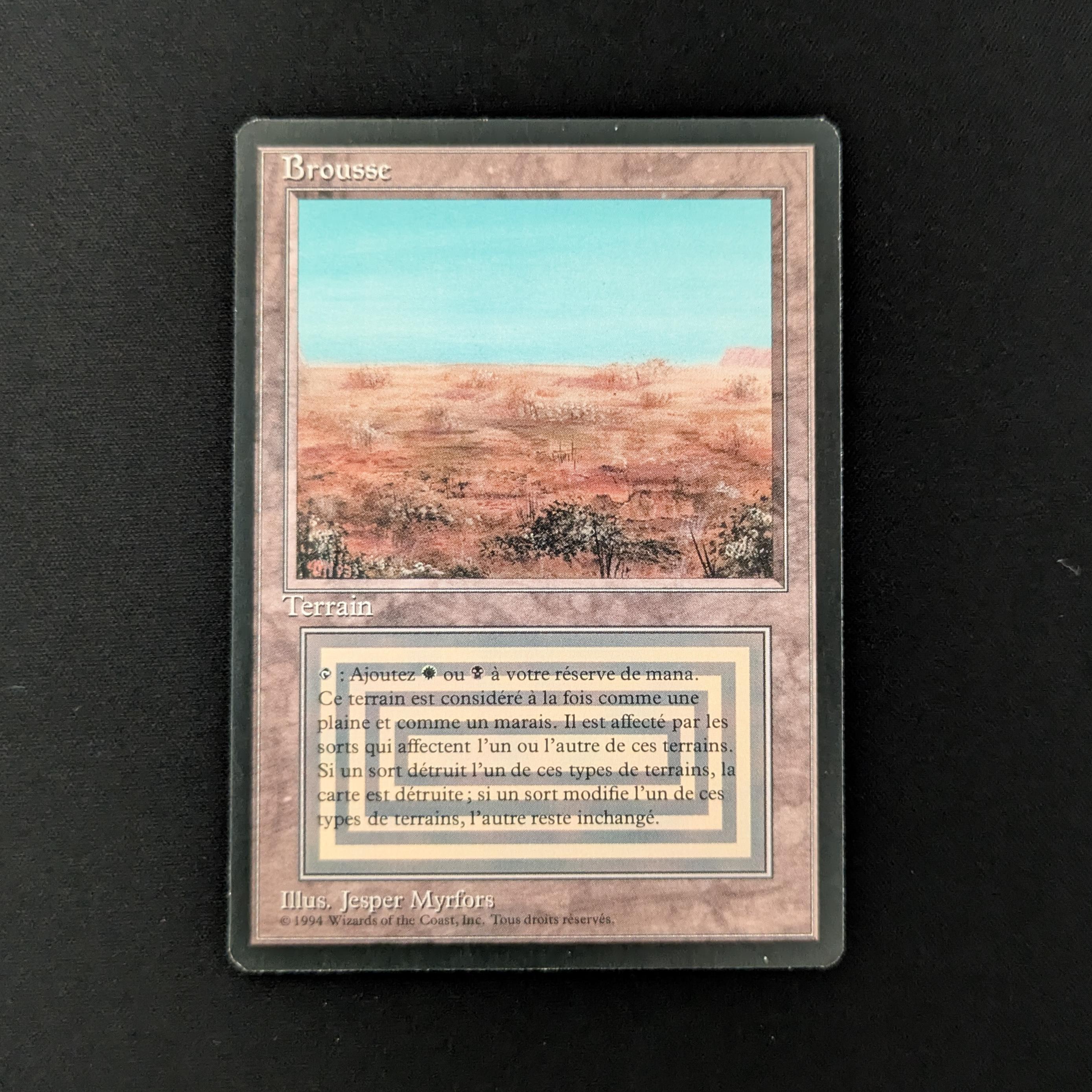 MTG Singles - Scrubland - Foreign Black Bordered - French - NM - 26526