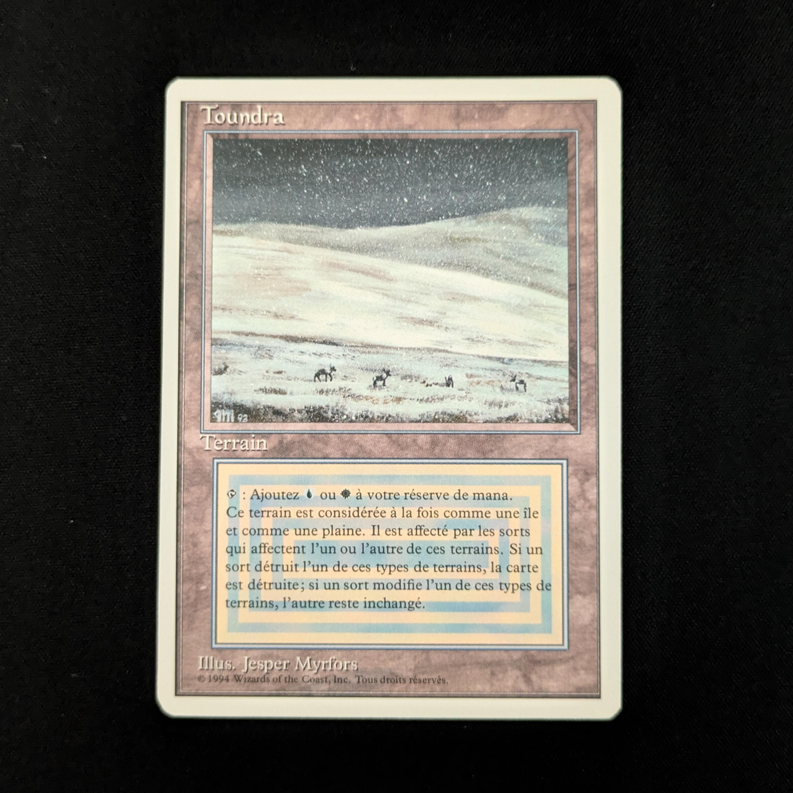 MTG Singles - Tundra - Foreign White Bordered - French - EX - 26532