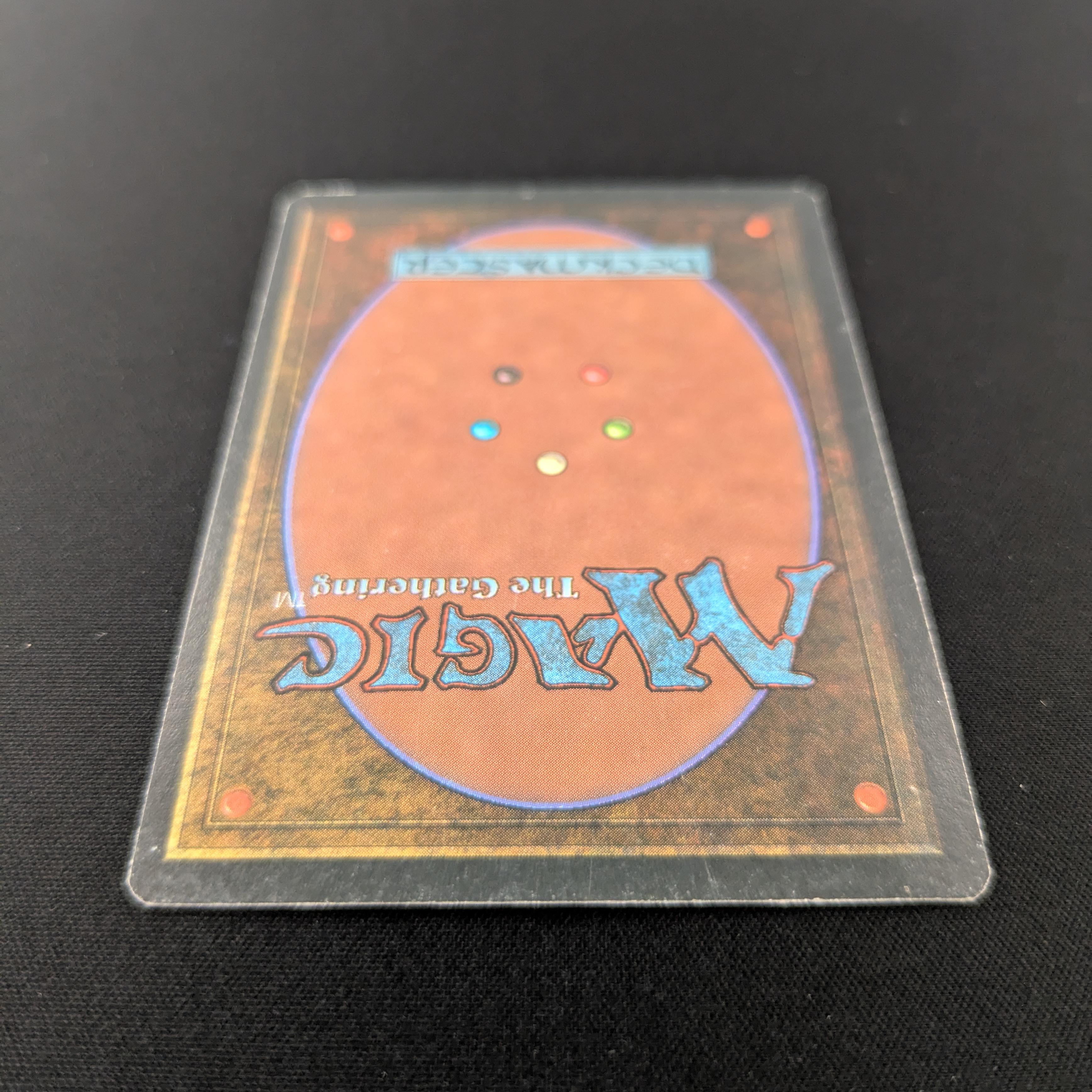 MTG Singles - Bayou - Foreign White Bordered - 