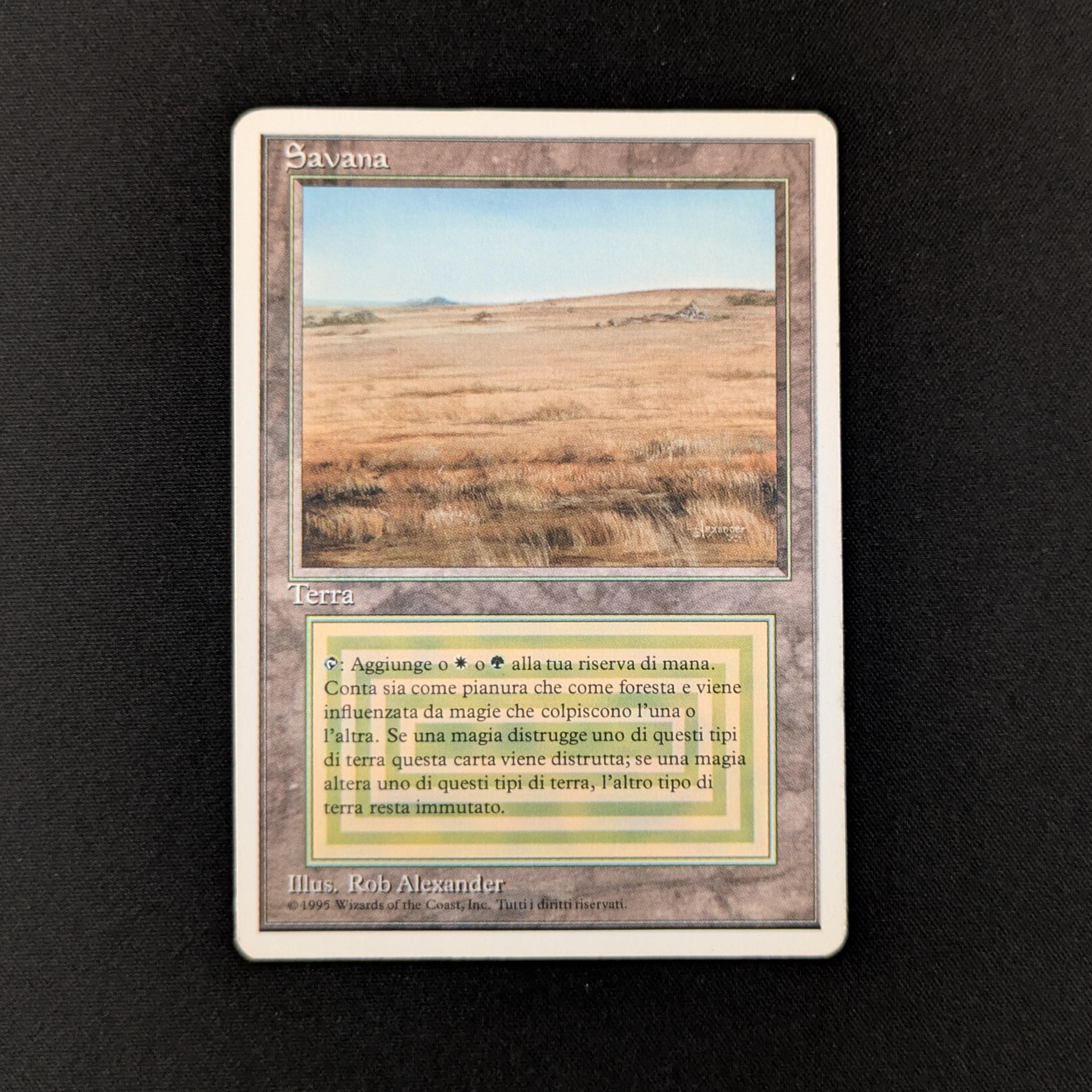 MTG Singles - Savannah - Foreign White Bordered - Italian - LP - 26663