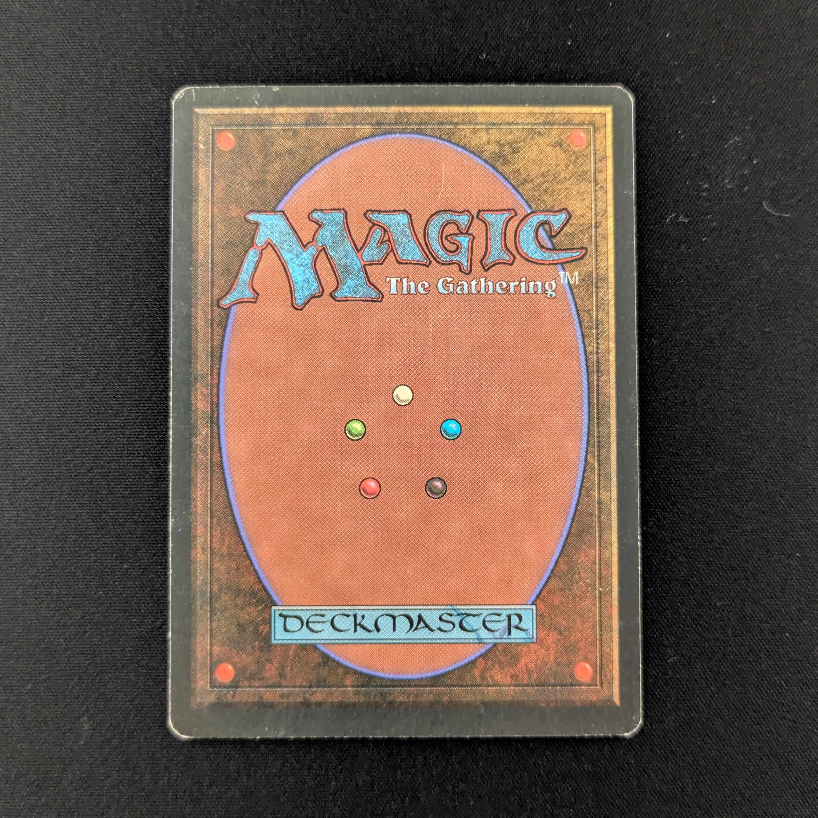 MTG Singles - Taiga - Foreign White Bordered - 