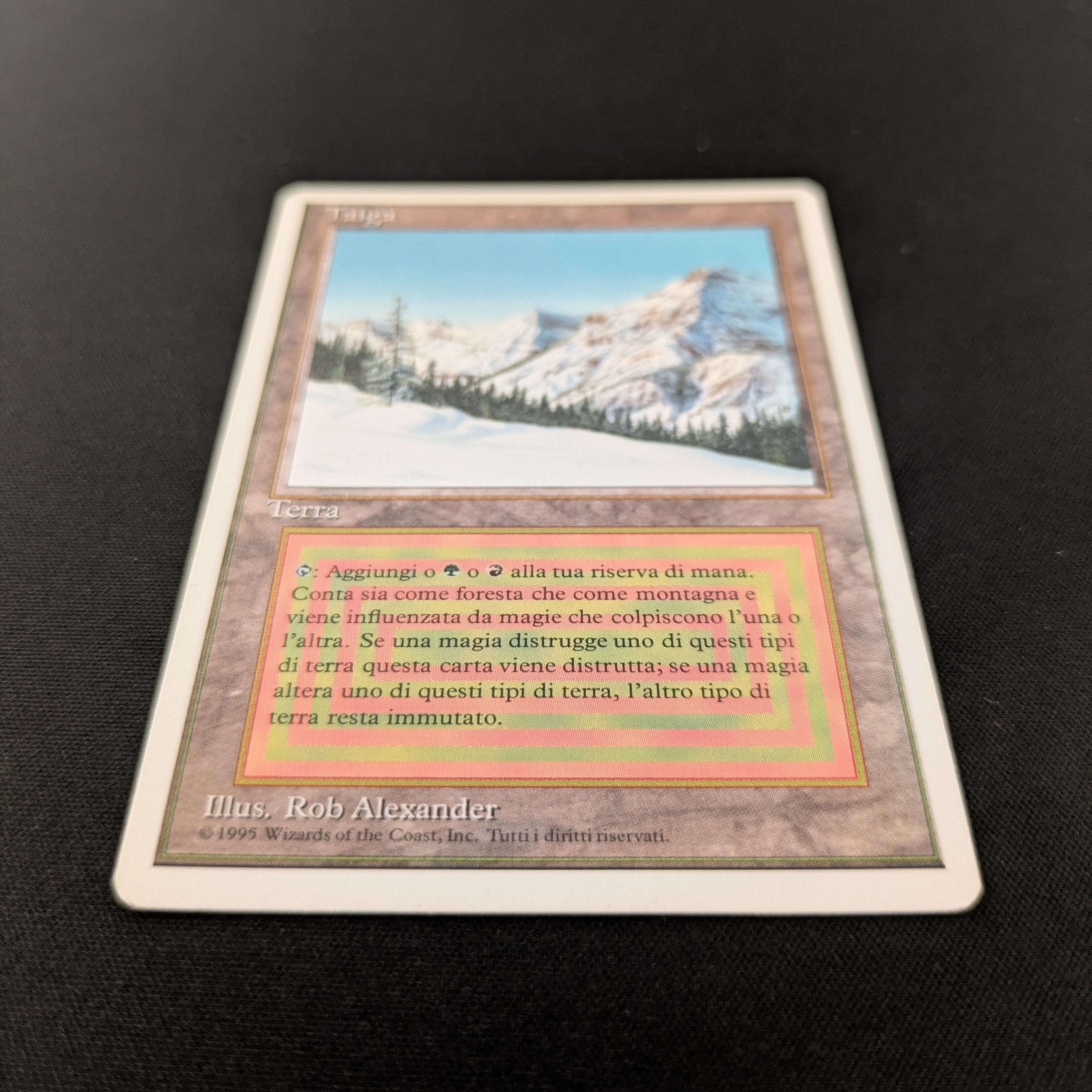 MTG Singles - Taiga - Foreign White Bordered - 
