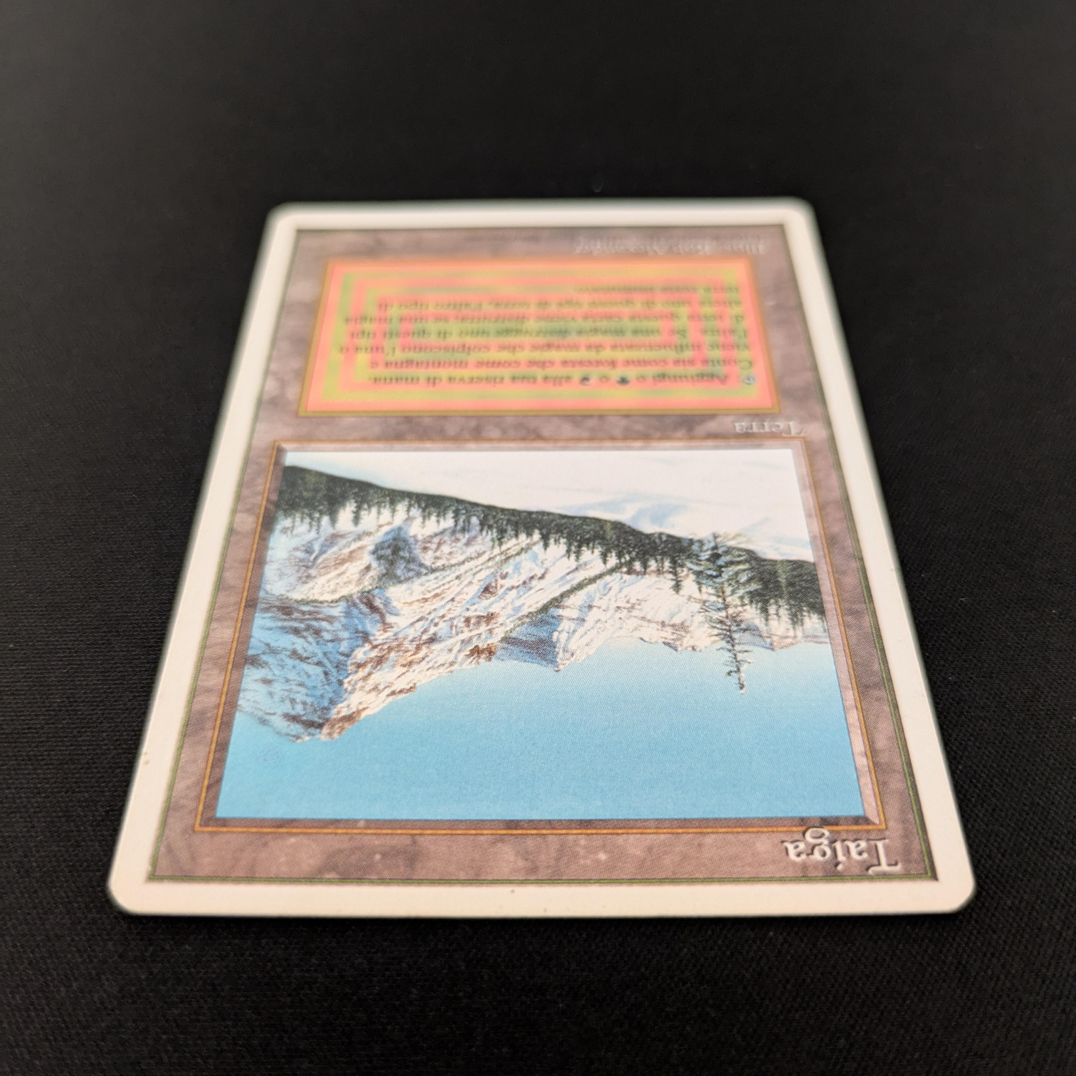 MTG Singles - Taiga - Foreign White Bordered - 