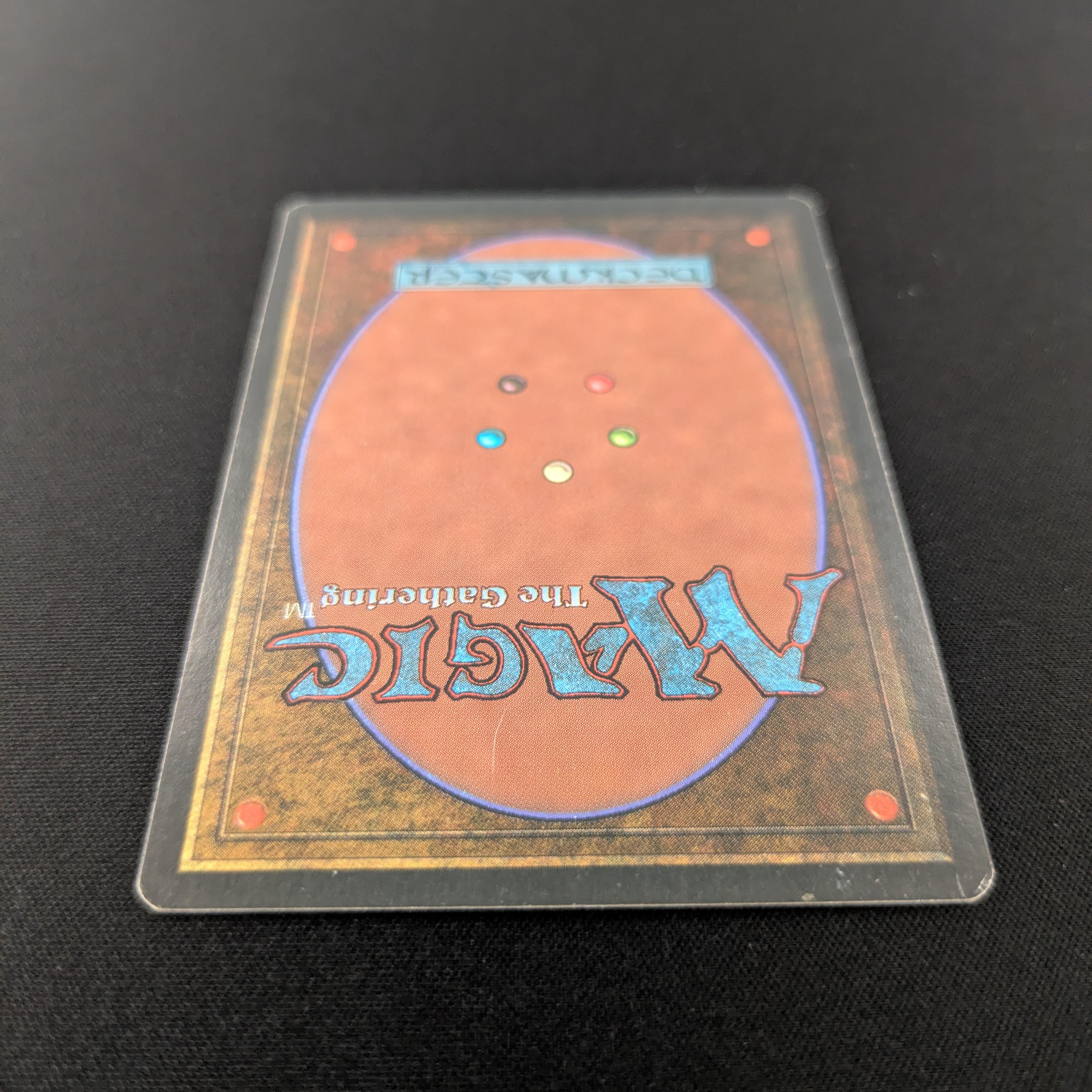 MTG Singles - Taiga - Foreign White Bordered - 