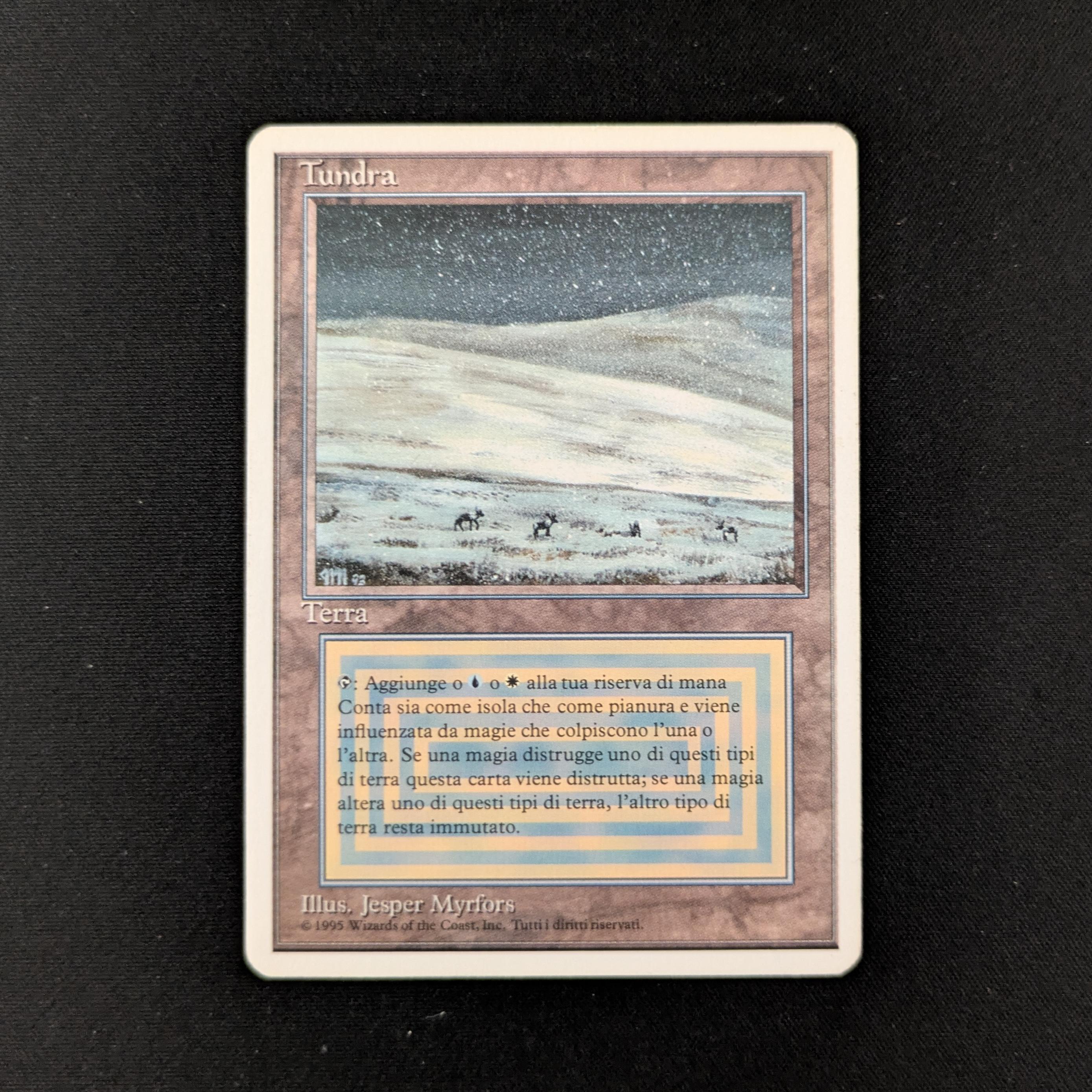 MTG Singles - Tundra - Foreign White Bordered - Italian - PL - WATER DAMAGE - 26669