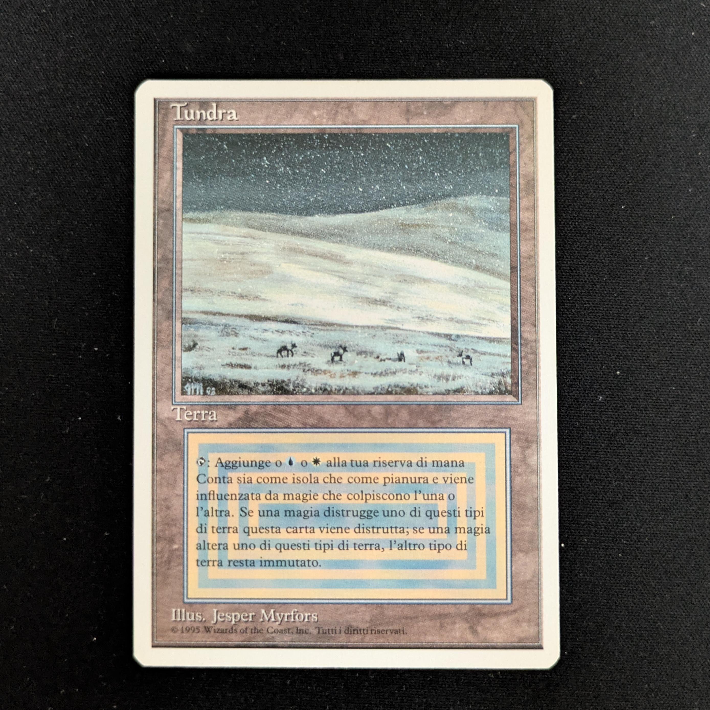 MTG Singles - Tundra - Foreign White Bordered - Italian - NM - 26760