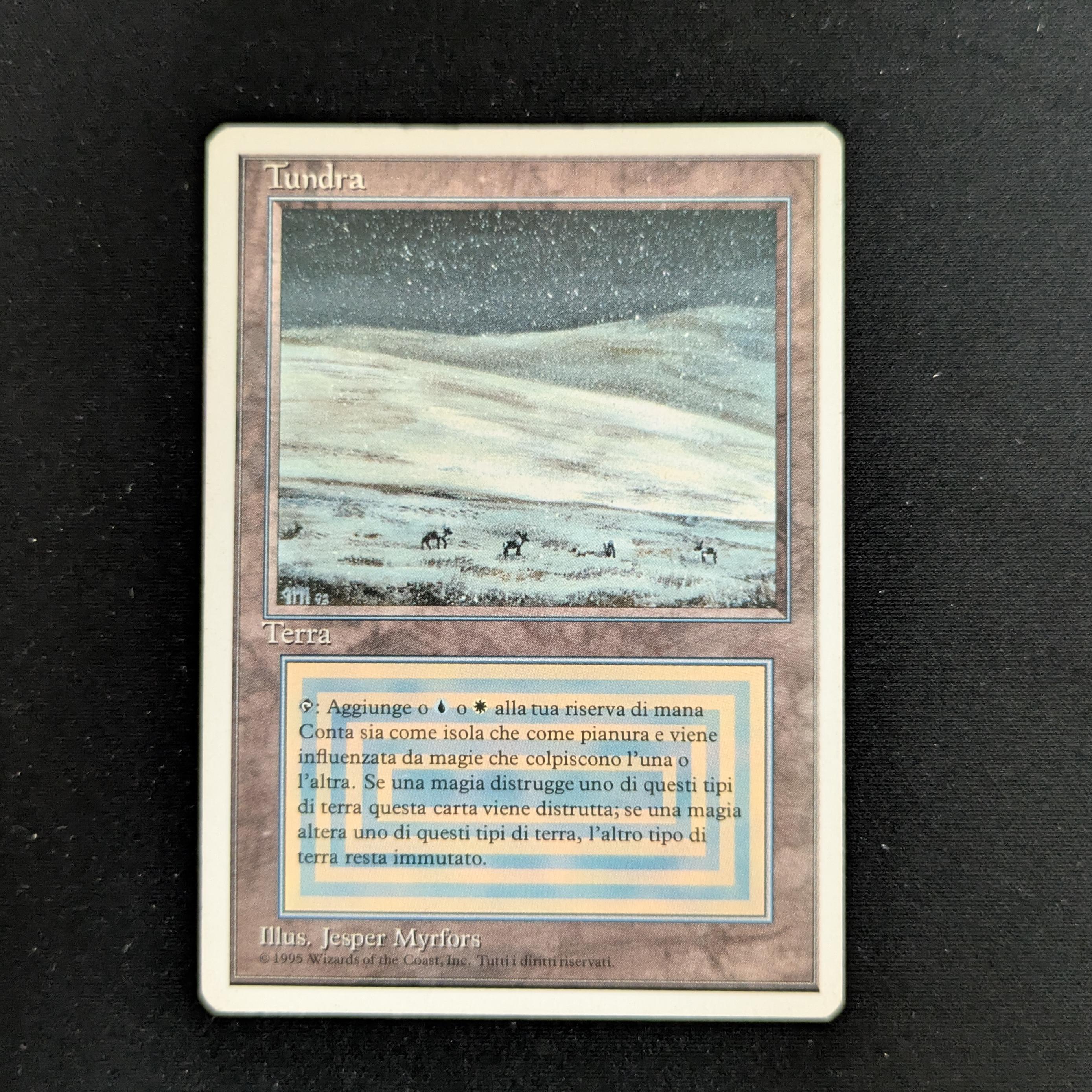 MTG Singles - Tundra - Foreign White Bordered - Italian - LP - 26763