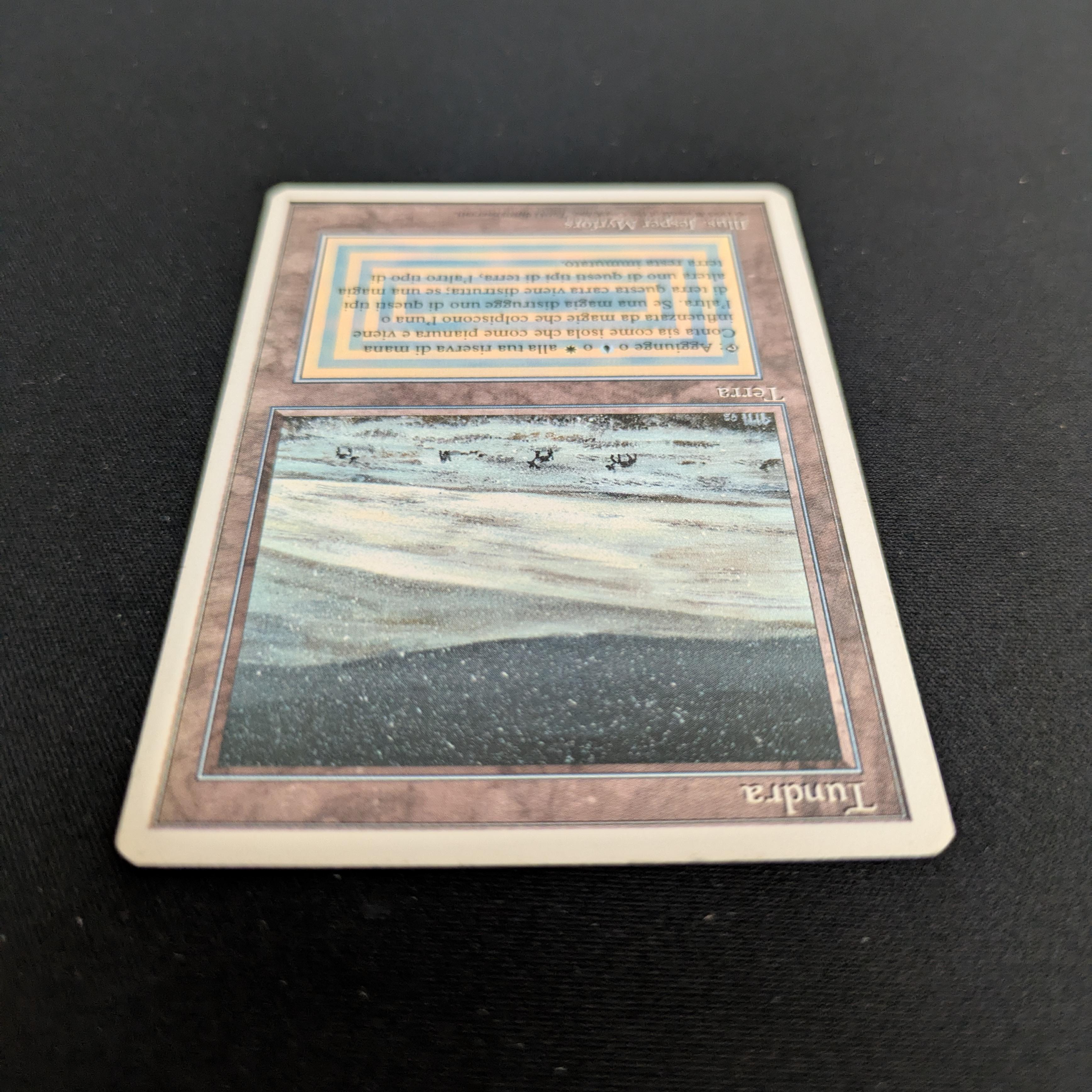 MTG Singles - Tundra - Foreign White Bordered - 