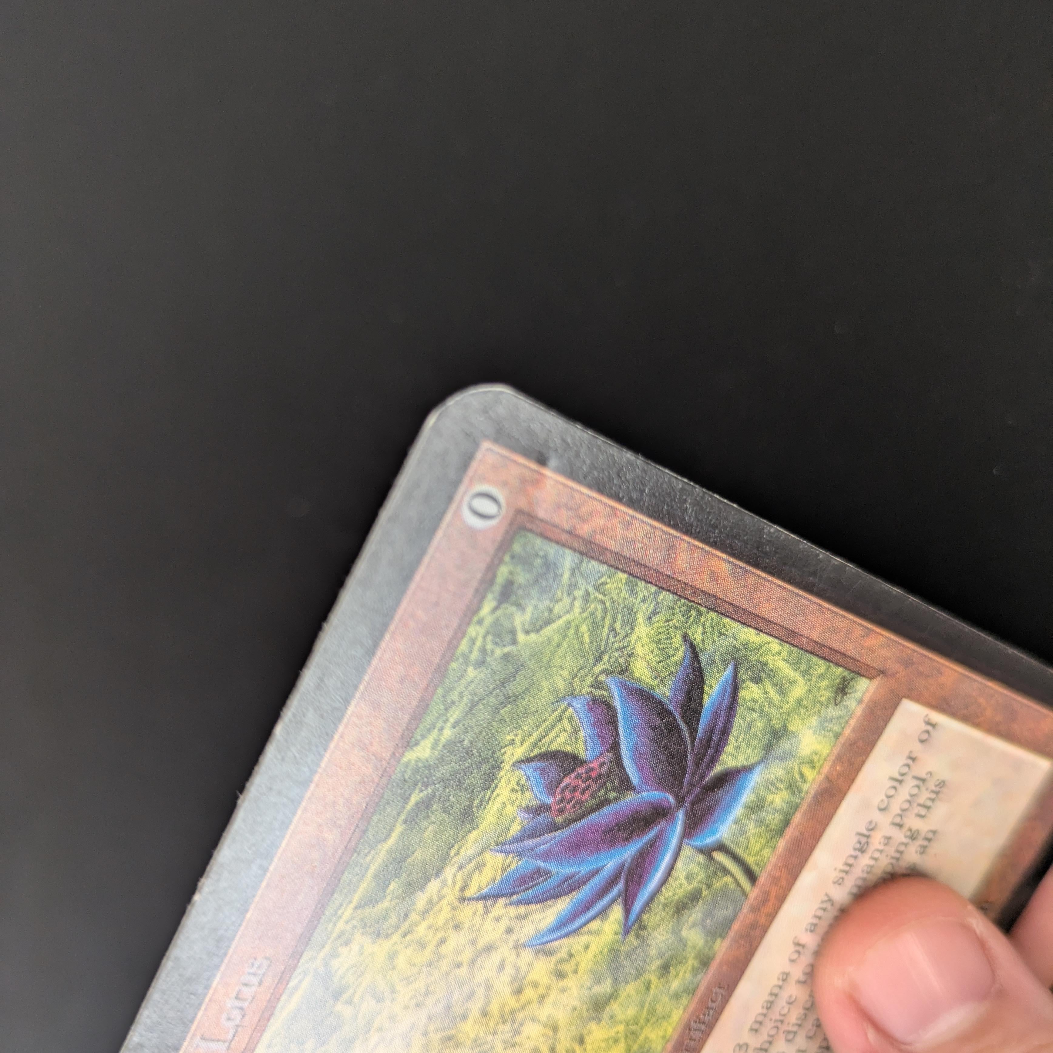 MTG Singles - Black Lotus - Alpha - 